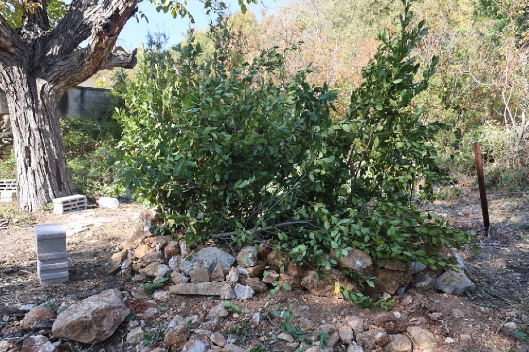 Üniversiteli Gencin Sır Ölümü! 'Kızımın Cenazesini Kucağımıza Verdiler'