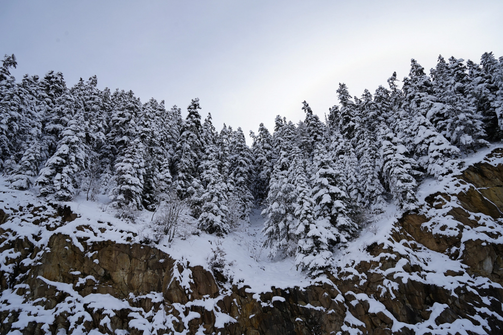 2 Bin 50 Rakımlı Zigana Dağı Beyaza Büründü