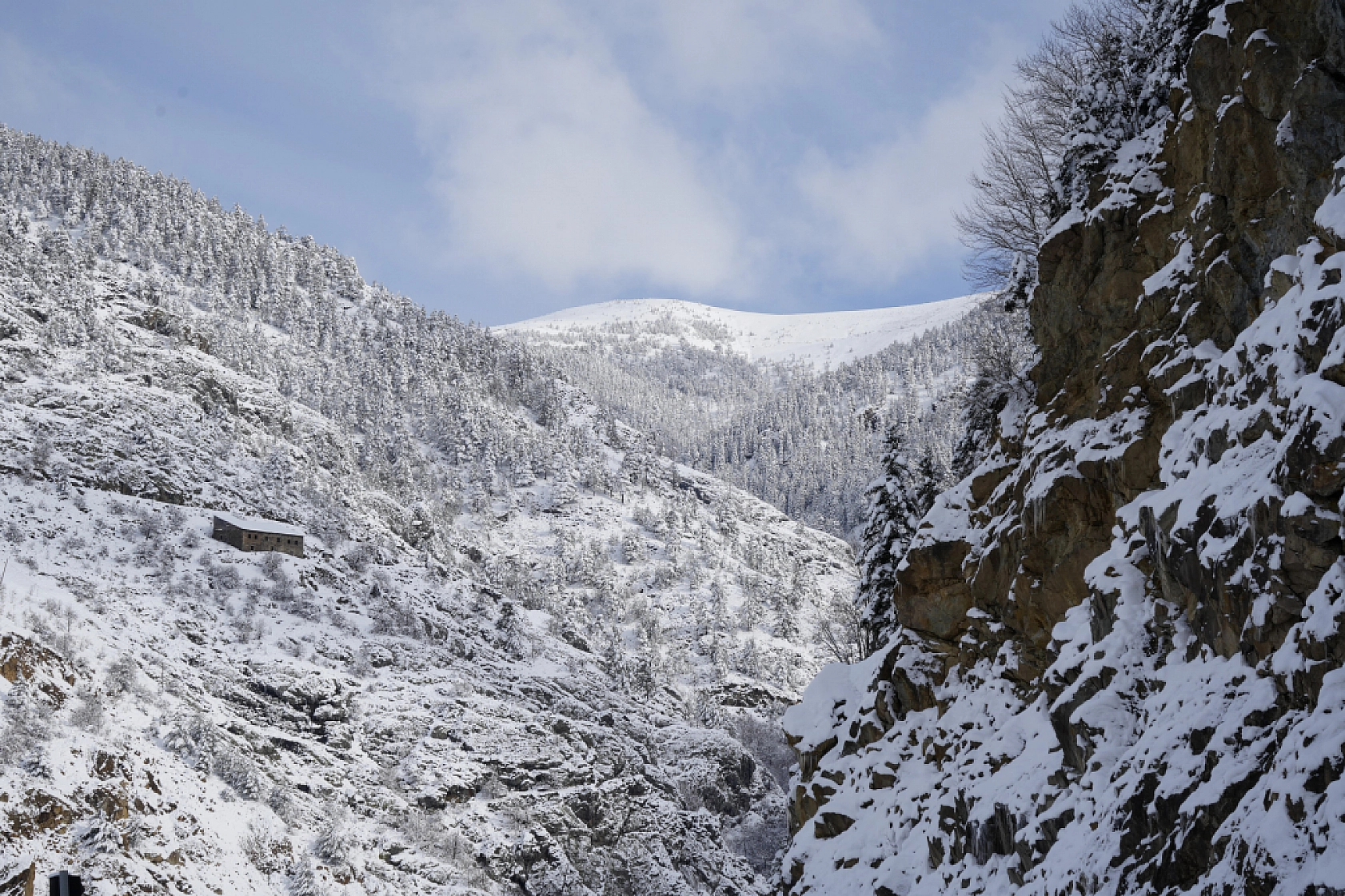 2 Bin 50 Rakımlı Zigana Dağı Beyaza Büründü