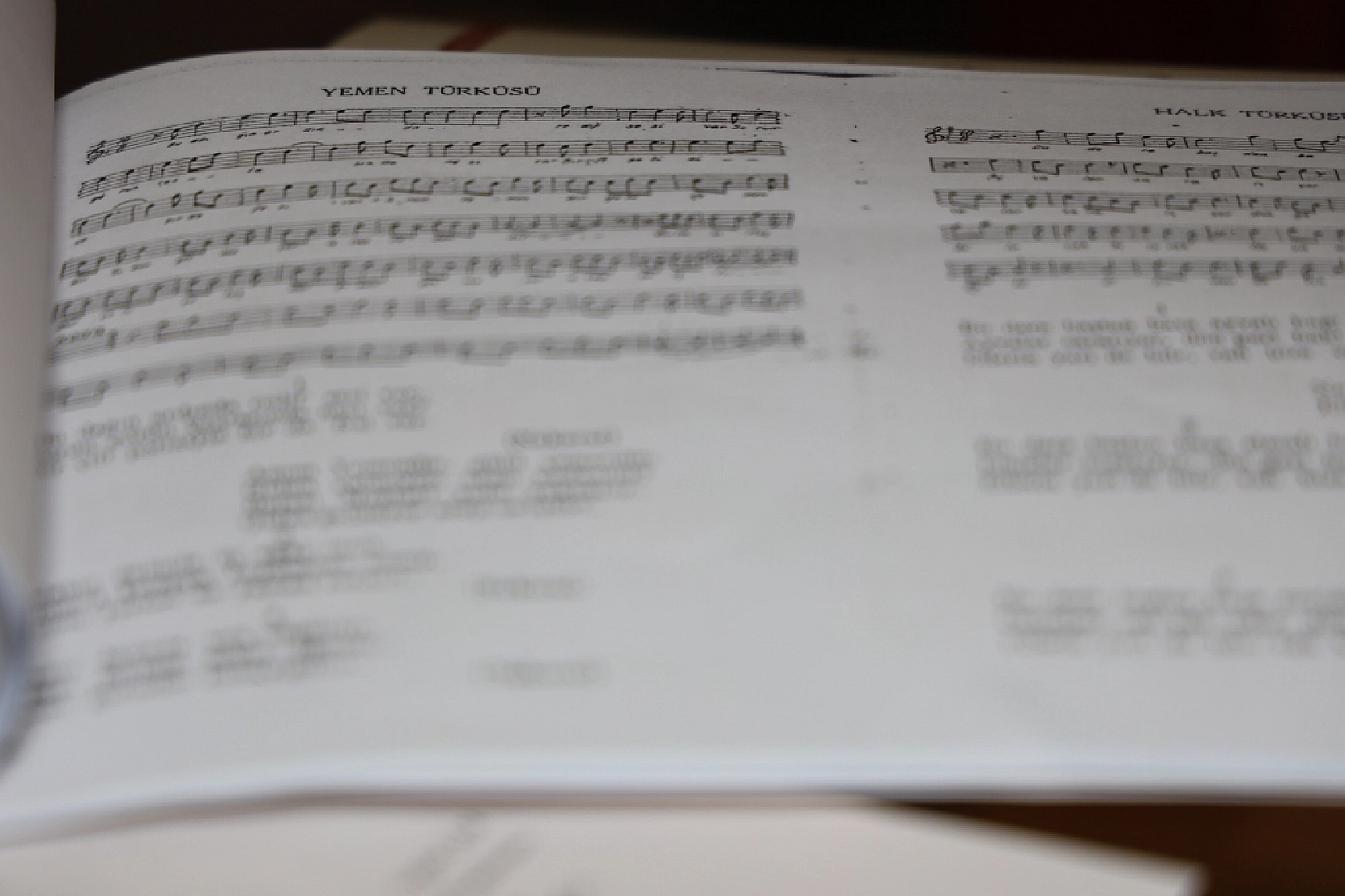 Yemen türküsünün hangi yöreye ait olduğu ortaya çıktı!