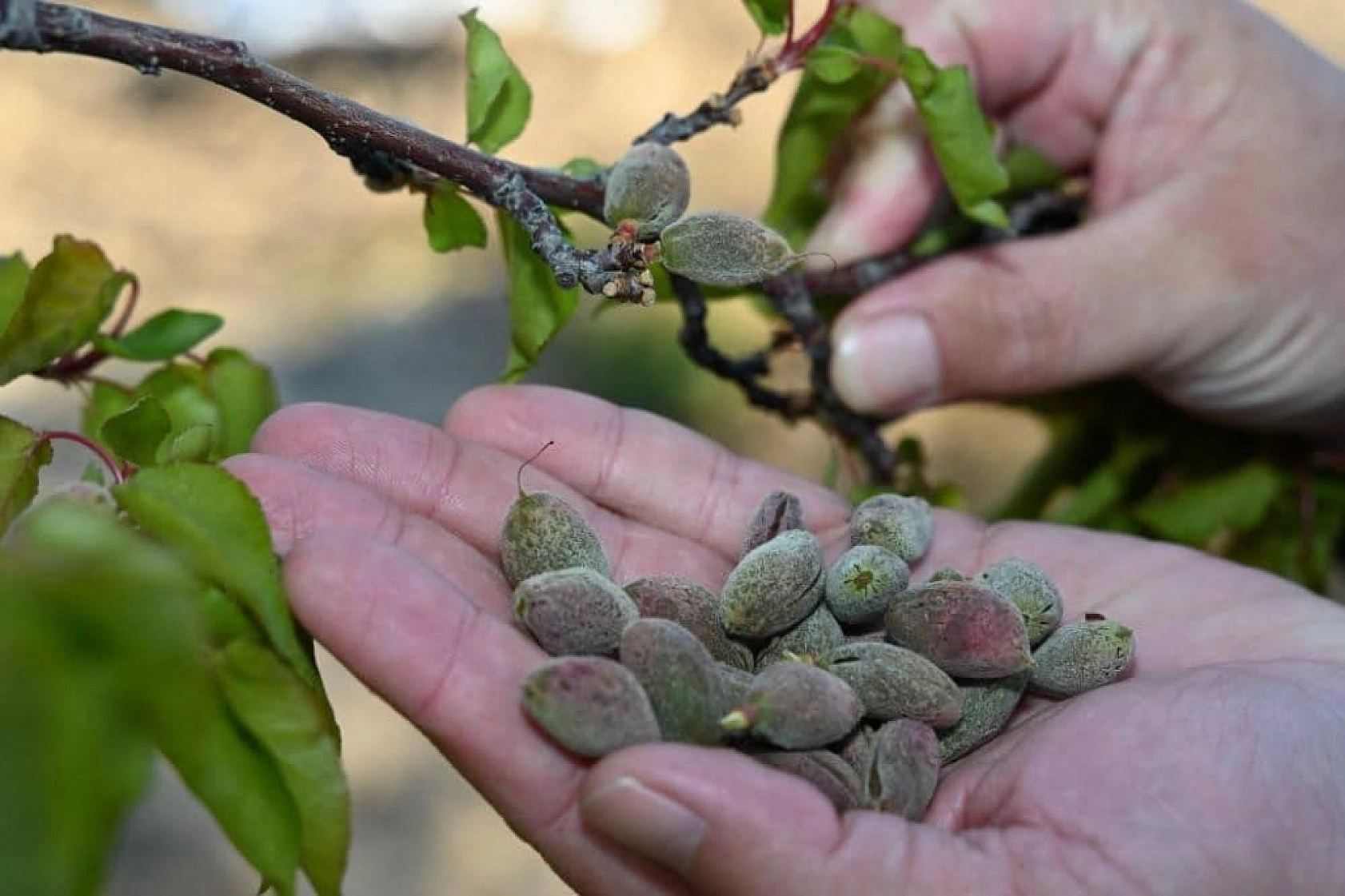 Bakan müjdeyi verdi: 11,6 milyar TL hasar tazminatı ödendi…