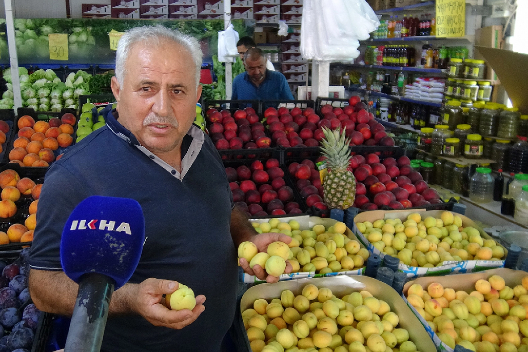 Malatya'da kayısı lüks tüketime dönüştü! Fiyatı etle yarışıyor…!