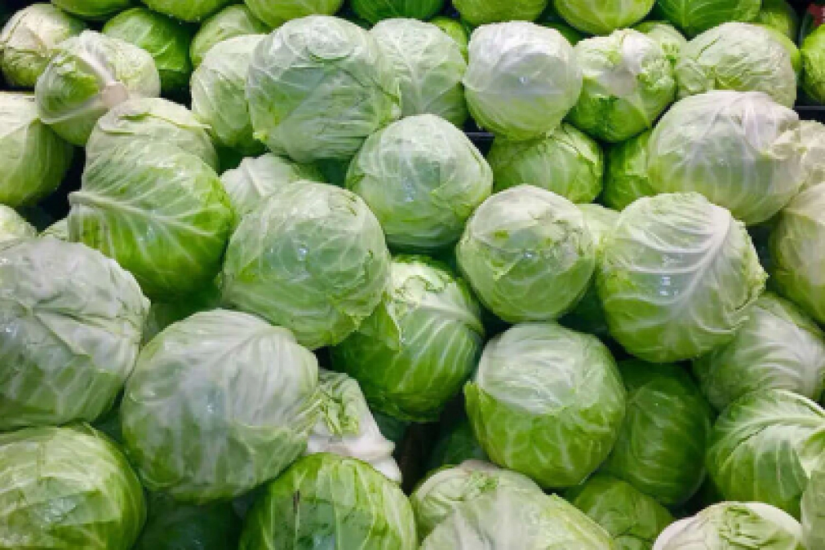 Malatya Hal Pazarı'nda Güncel Fiyatlar Açıklandı: En Ucuz ve En Pahalı Ürünler Belli Oldu