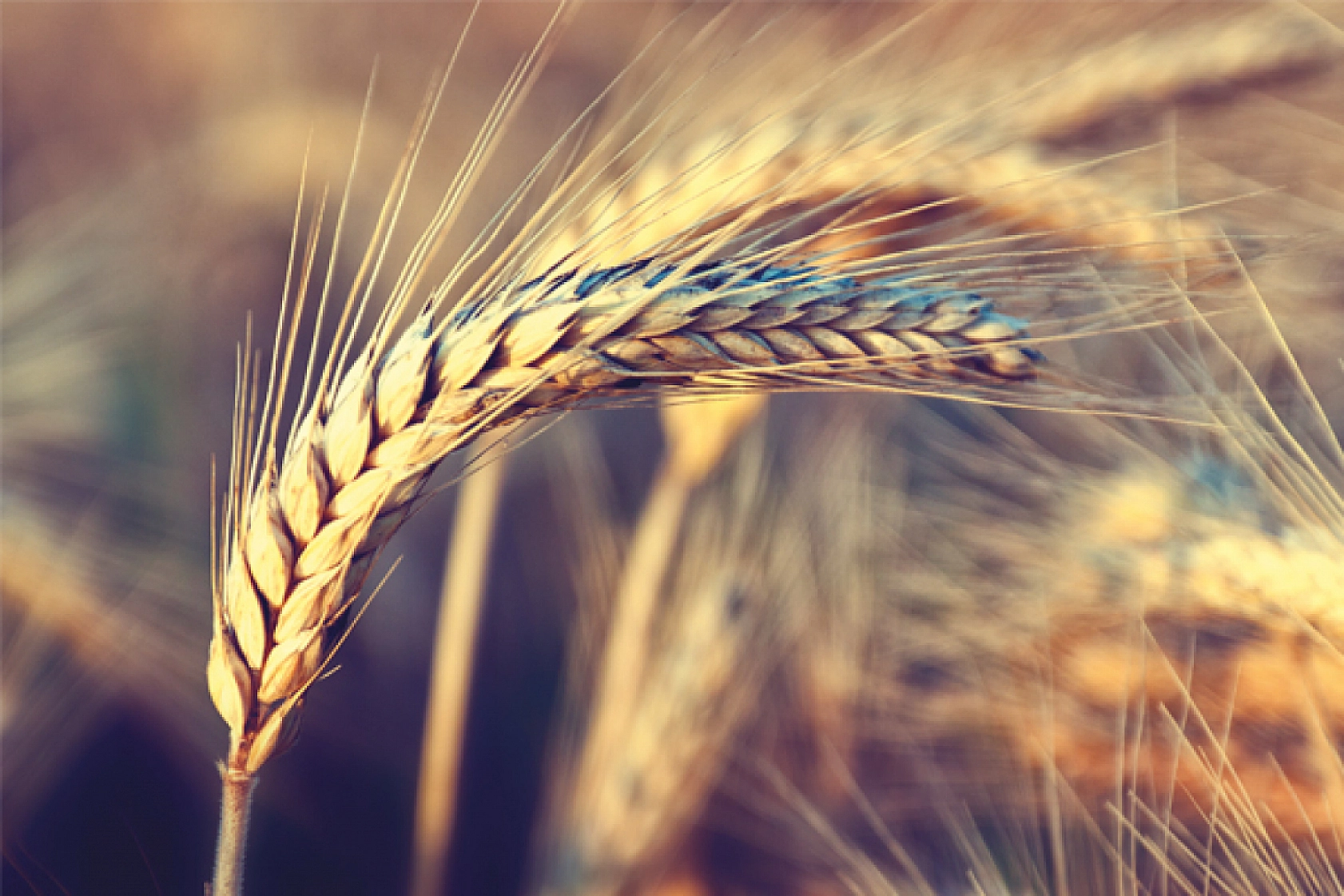 Valilik Müjdeledi: Malatya'ya Devasa Yatırım..