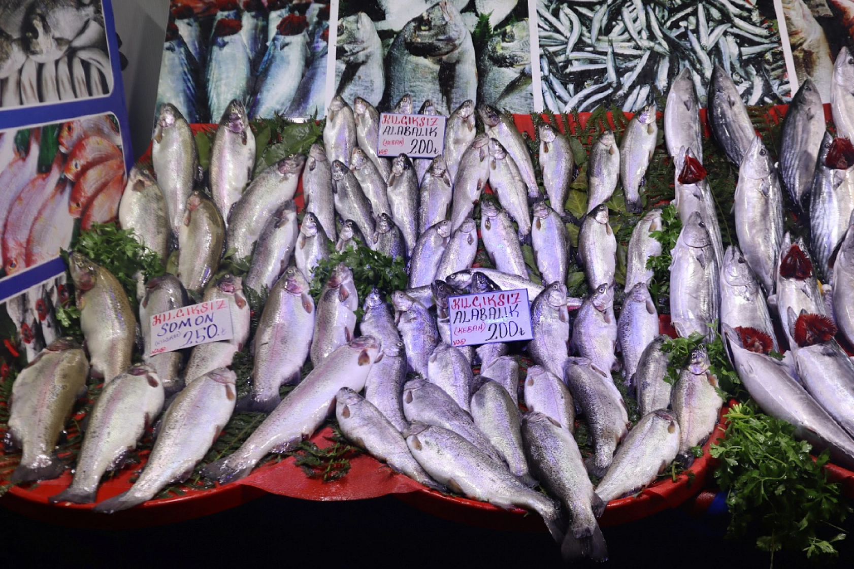 Balık Pazarlarında Fiyat Artışı! En Ucuz Balık Hangisi? İşte Detaylar...