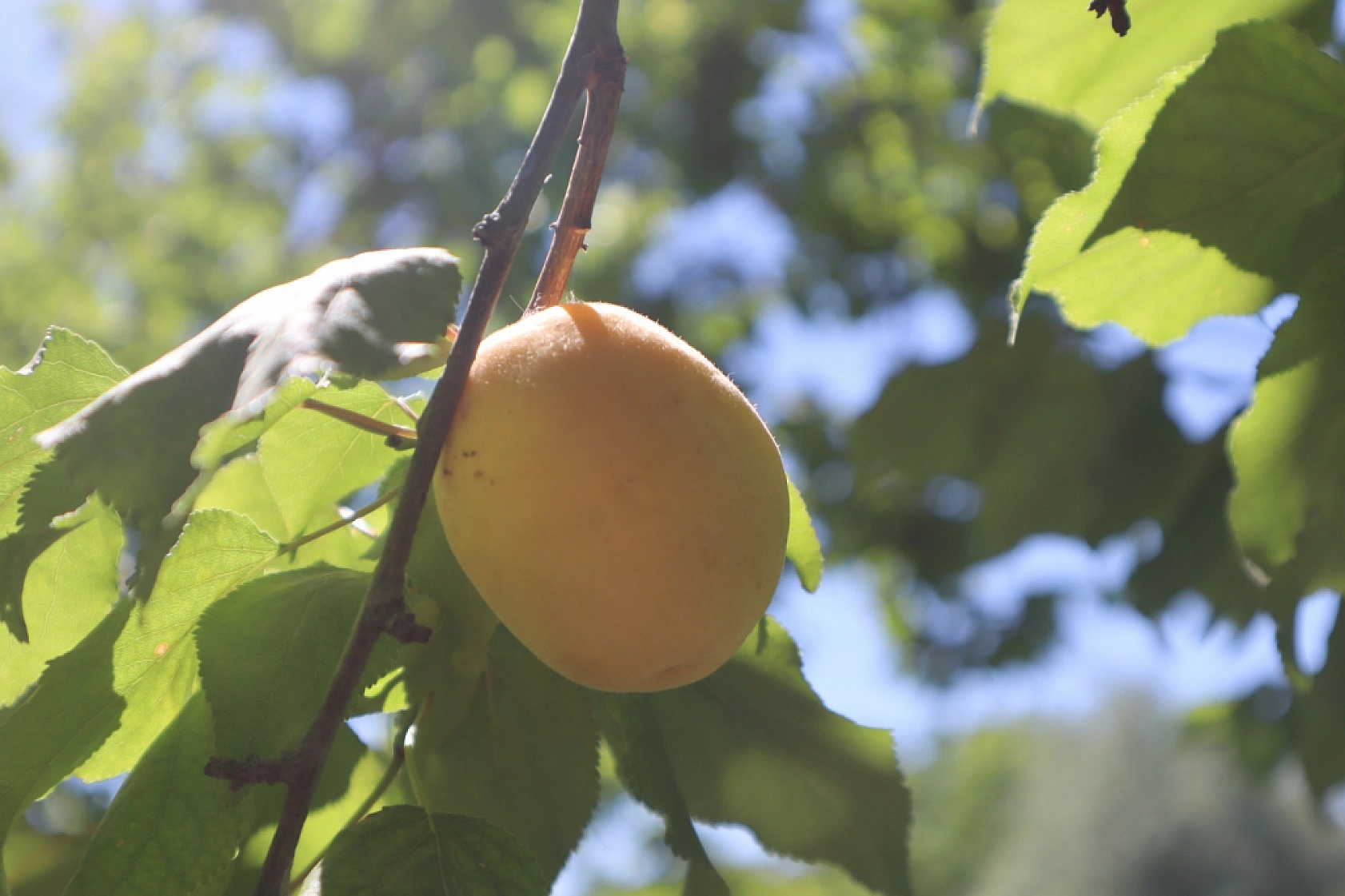 Malatya 6 Ayda Hedefi Aştı!