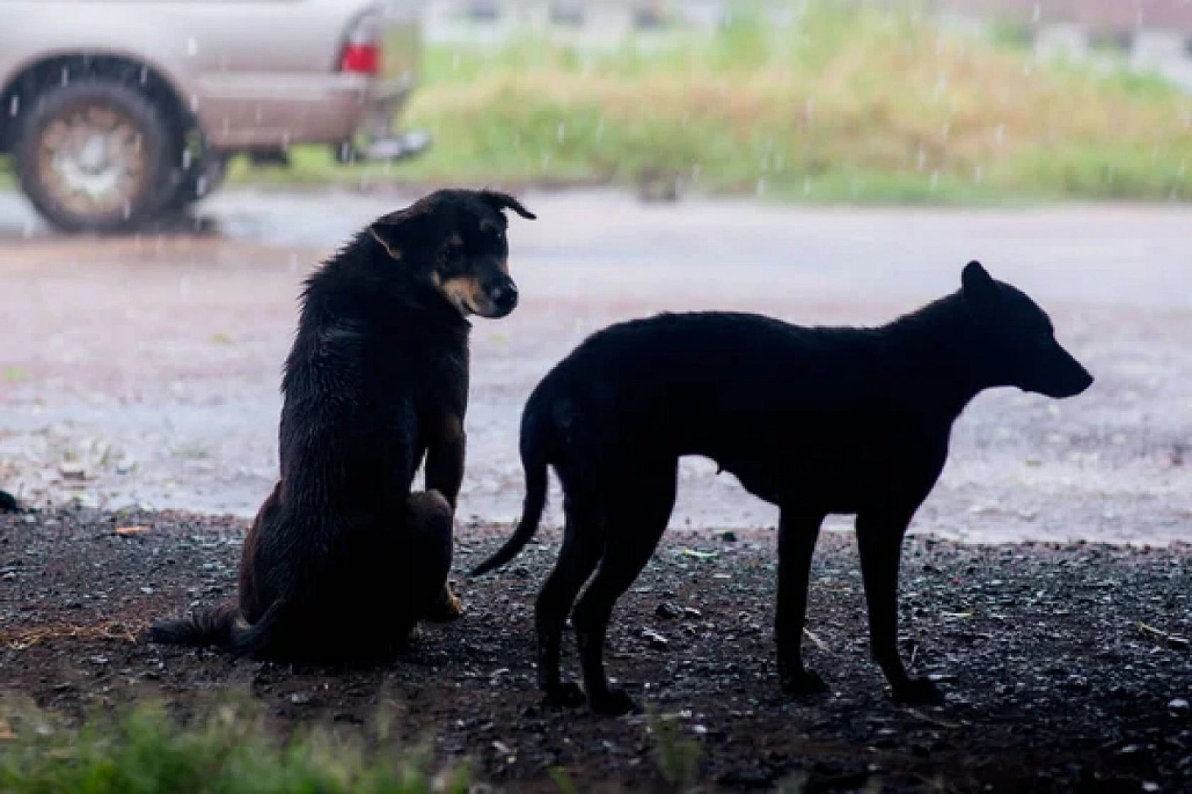 Vali Uyardı: Bu Görev Belediyelerin!