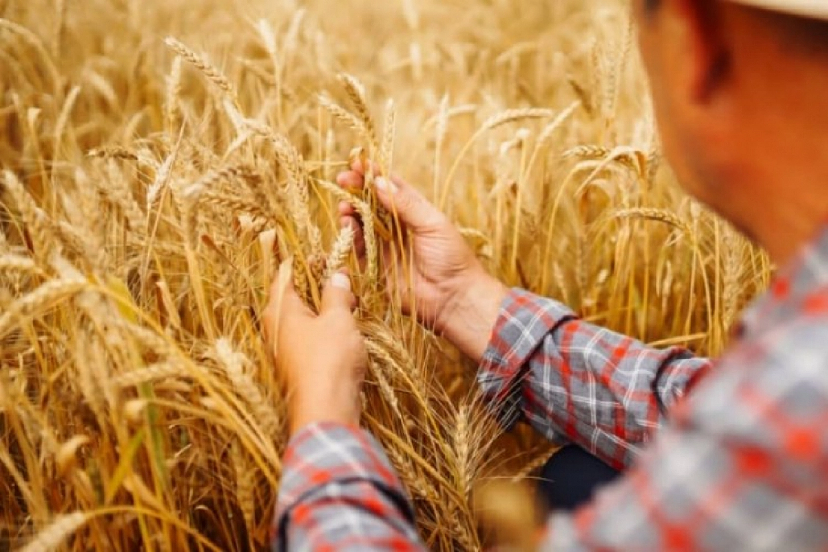 Malatya'da Tarımda Yeni Dönem! Yüzde 100 Mazot Desteği Geliyor!