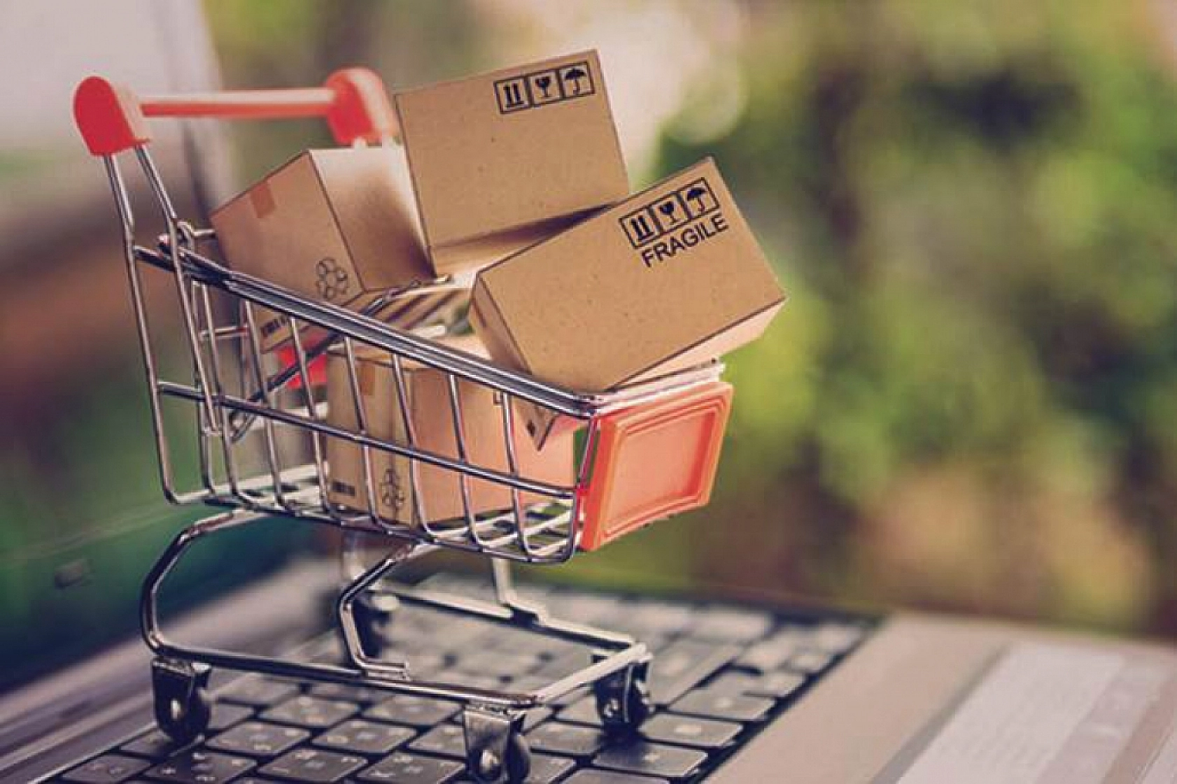 Malatyalılar Kasım'da En Çok Bunu Aradı: İşte Şaşırtıcı Sonuç!