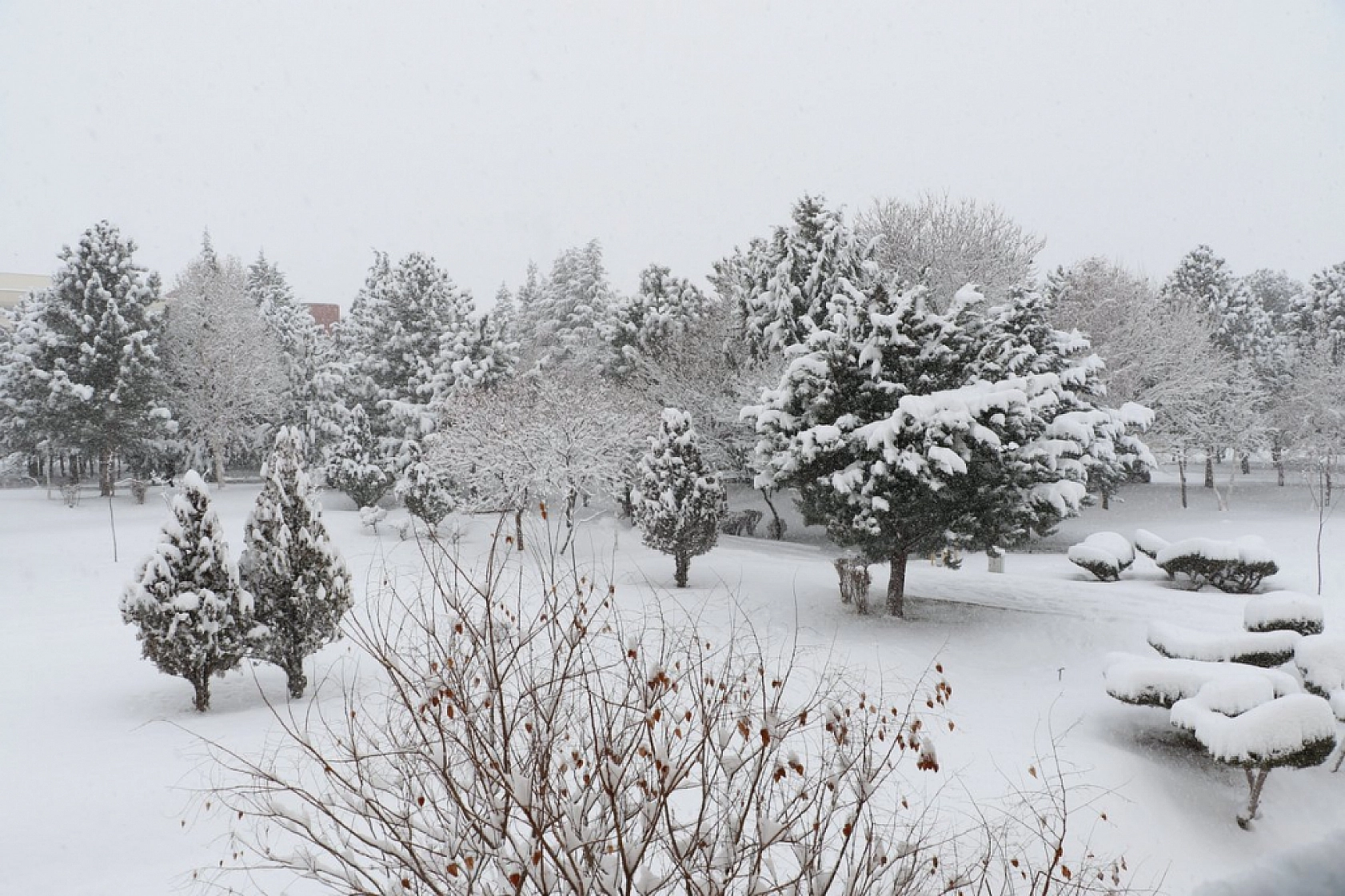 İnönü Üniversitesi'nden Kar Tatili Açıklaması
