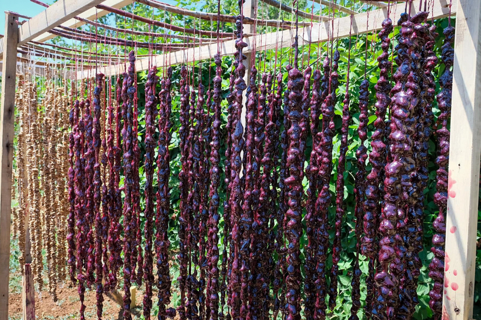 İstanbul'dan Göç Etti, Malatya'da Zenginleşti: Siparişlere Yetişemiyorlar!