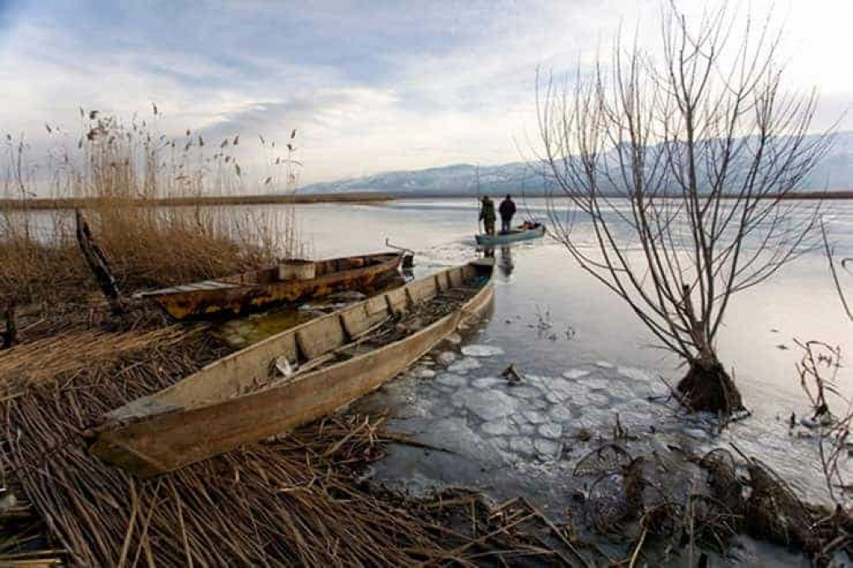 Bakanlık Harekete Geçiyor: Eylem Planı Hazırlanacak!