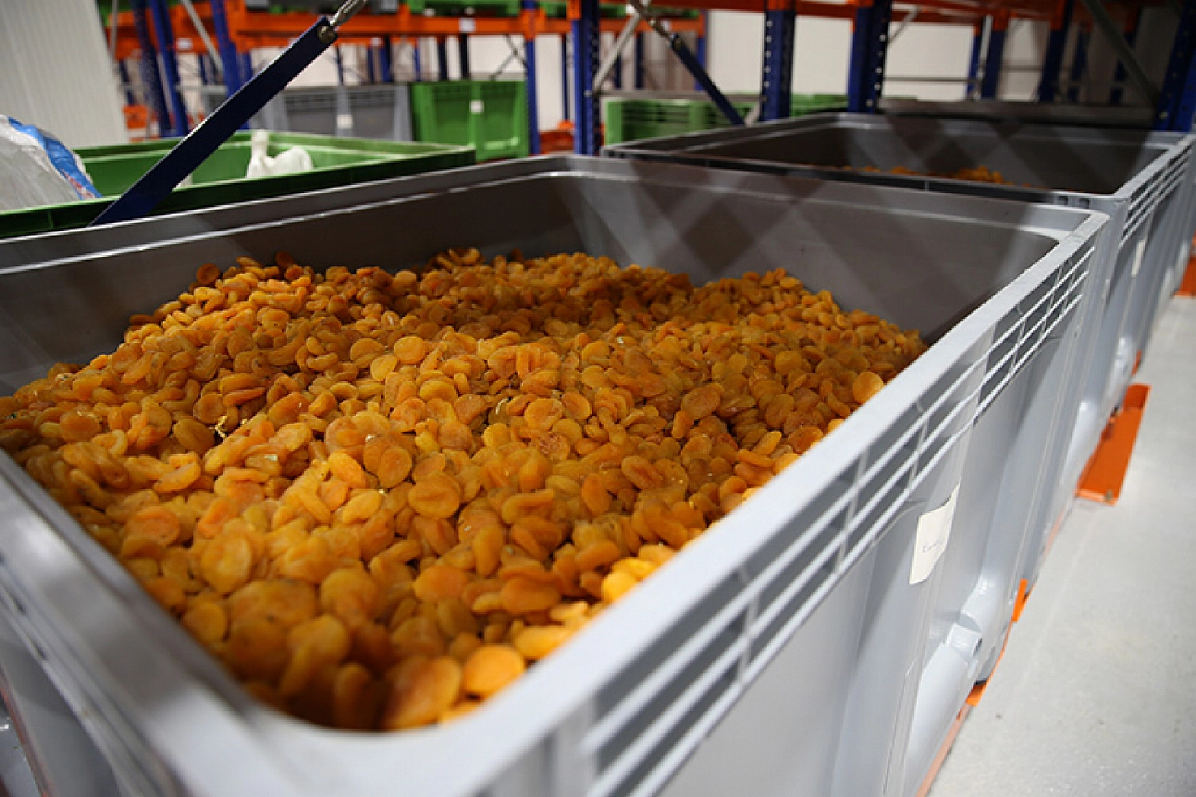 Kuru Kayısının Marketteki Fiyatı Dudak Uçuklattı!