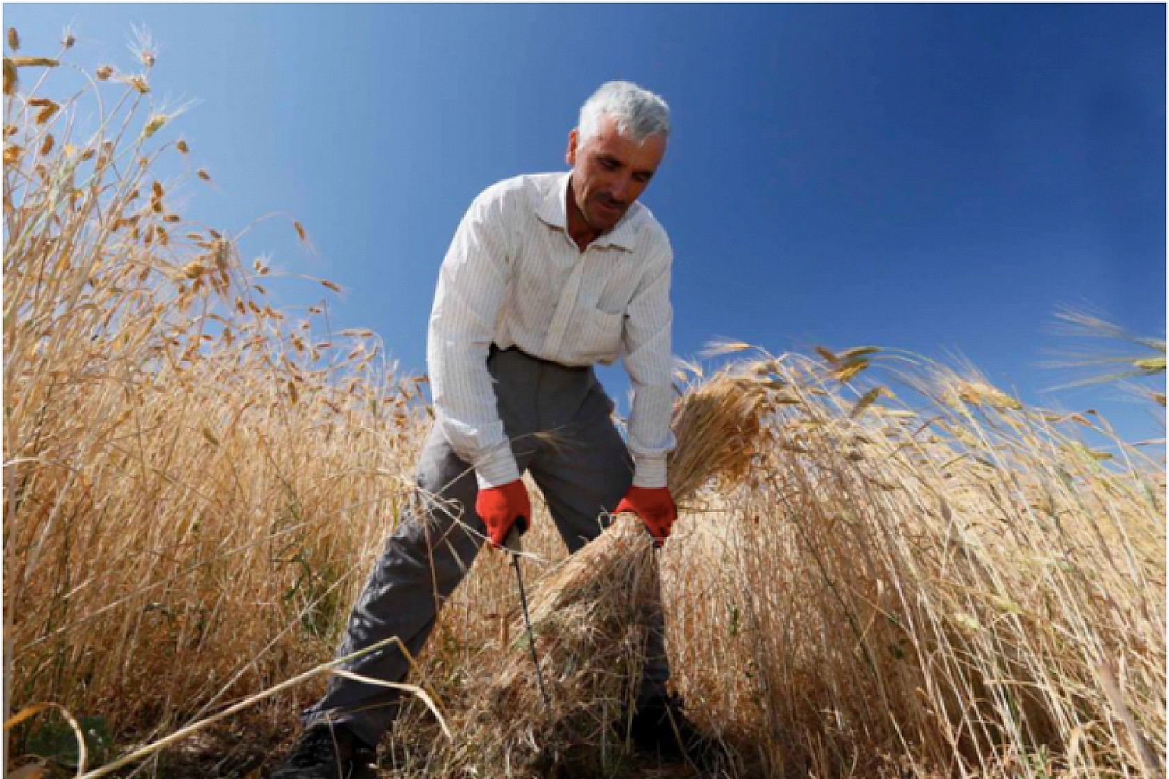 Malatya'da Tarımda Yeni Dönem! Yüzde 100 Mazot Desteği Geliyor!