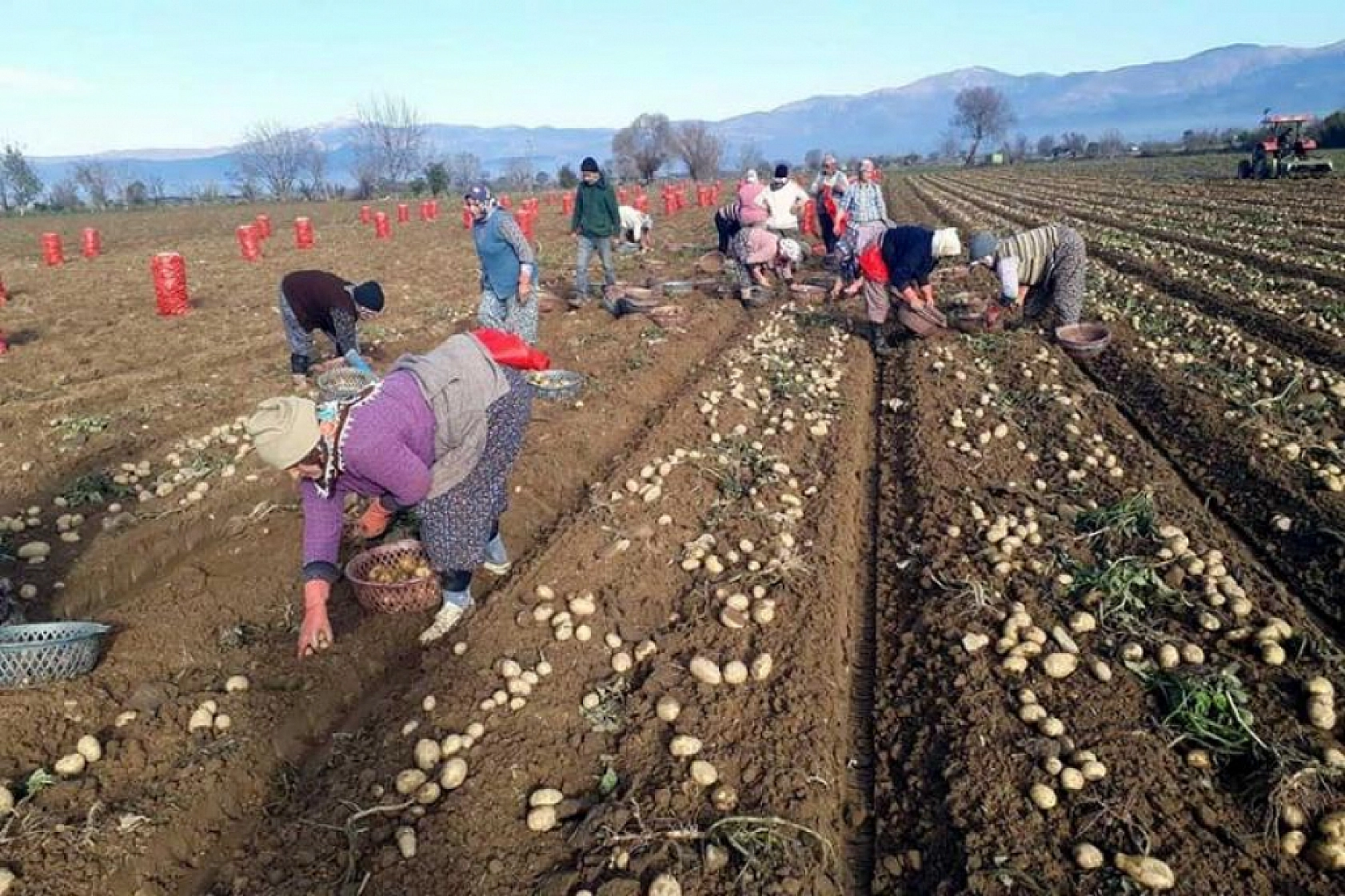 Malatya'da Tarımda Yeni Dönem! Yüzde 100 Mazot Desteği Geliyor!