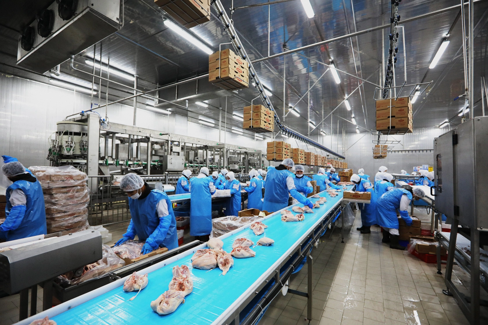 Üretimde Büyük Artış: Sofralarda Daha Fazla Göreceğiz!