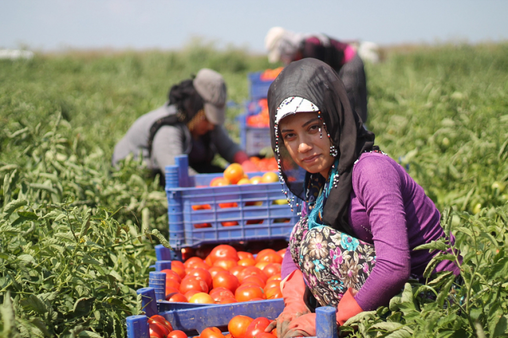 En Hızlı Büyüyen Meslekler Belli Oldu: Zirvedeki Meslek Şaşırttı!