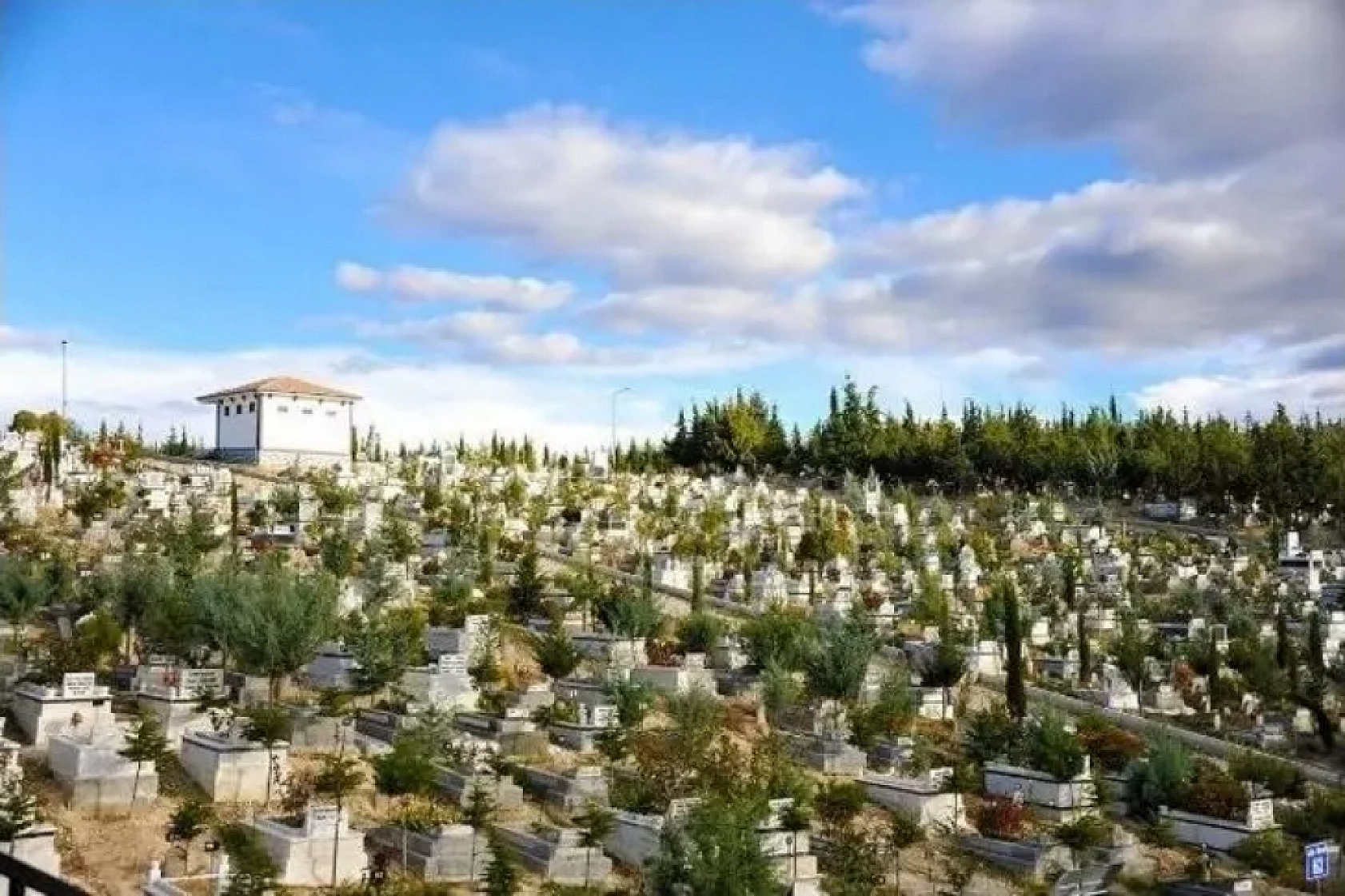 Malatya Ölüm Hızında Türkiye'yi Geride Bıraktı! Erkeklerde Artış Var…