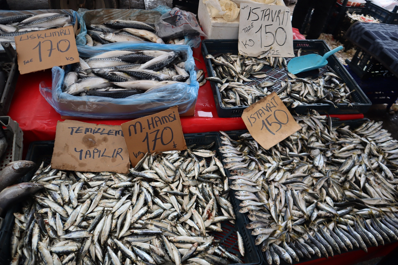 Soğuklar Sebze Fiyatlarını Vurdu: Pazarlar Ateş Pahası! İşte Güncel Meyve Sebze Fiyatları...