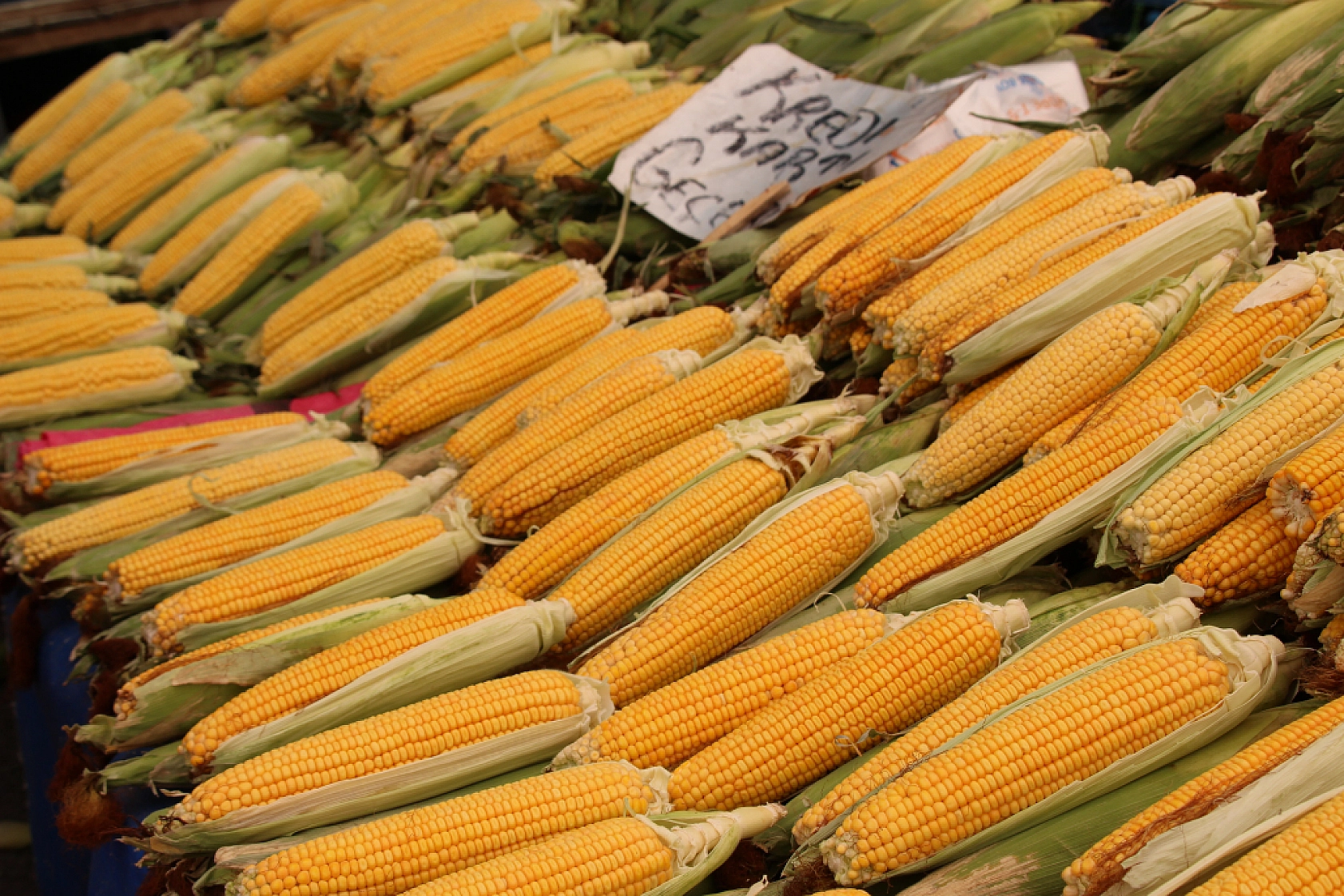Malatya'da Sebze ve Meyve Fiyatları Düştü Mü? Ne Kadar oldu? İşte Güncel Cuma Pazarı Fiyatları...