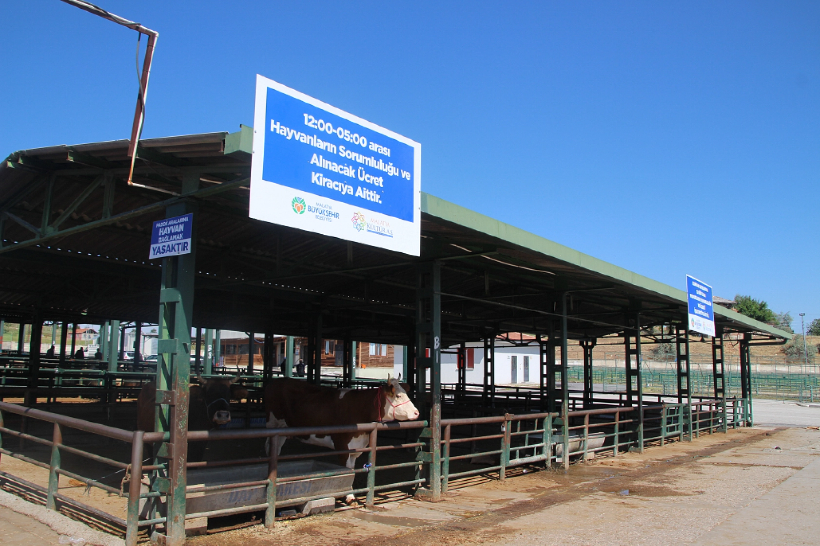 Beklenen hareketlilik yaşanmadı: Malatya'da hayvan pazarı boş kaldı