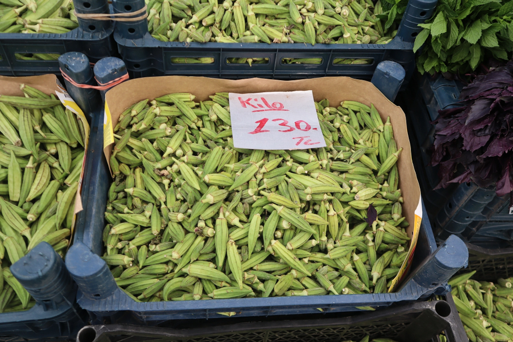 Pazarda şok fiyatlar! Domates salatalık 10 liraya kadar düştü…