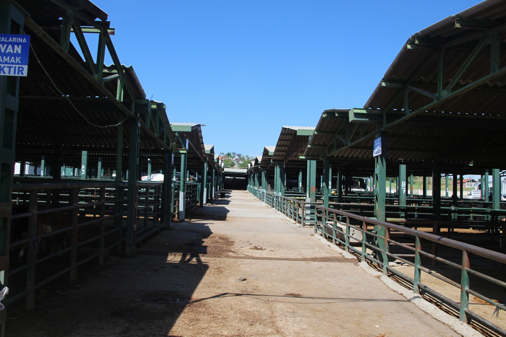 Beklenen hareketlilik yaşanmadı: Malatya'da hayvan pazarı boş kaldı