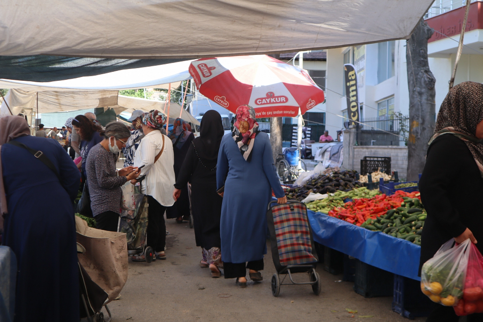 Pazarda şok fiyatlar! Domates salatalık 10 liraya kadar düştü…