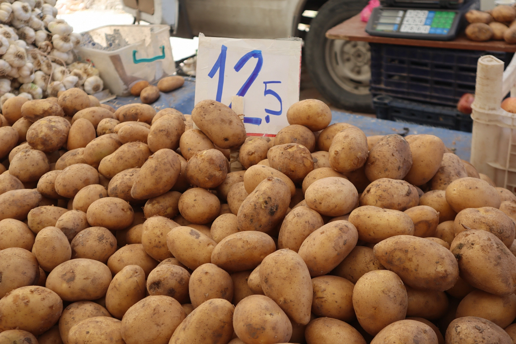 Pazarda şok fiyatlar! Domates salatalık 10 liraya kadar düştü…