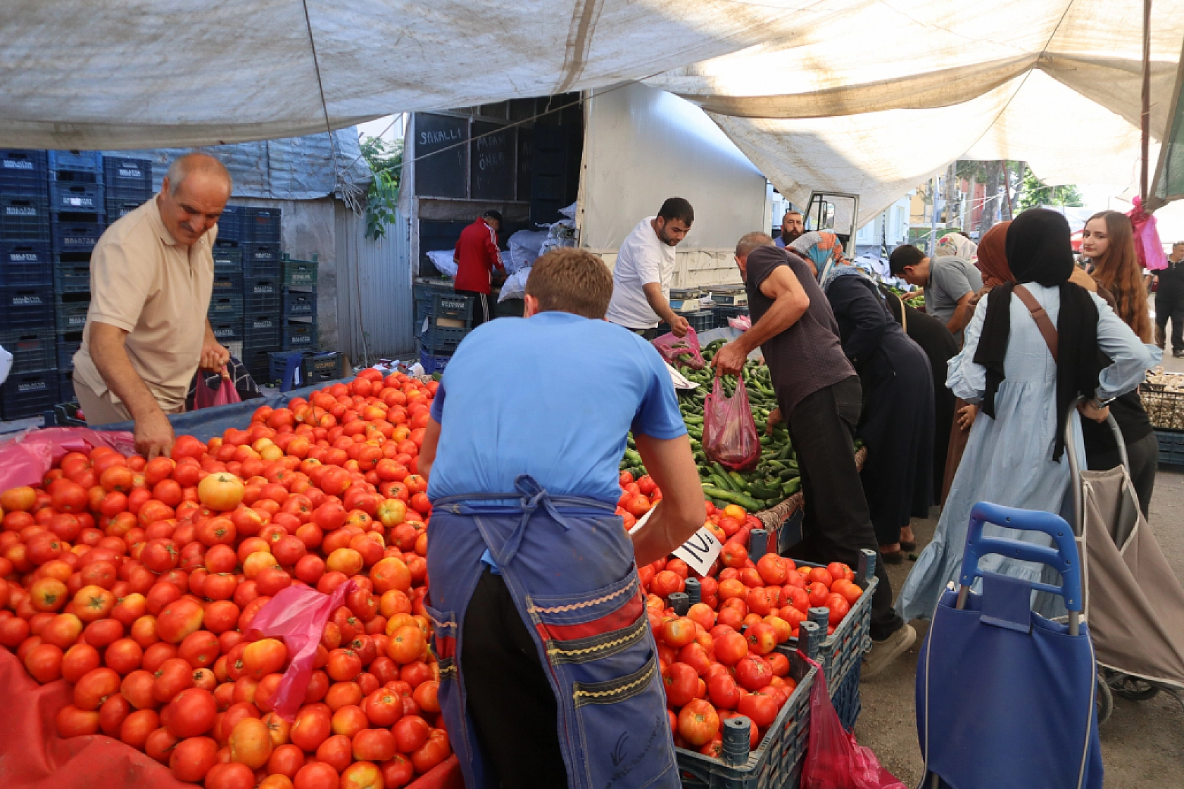 Pazarda şok fiyatlar! Domates salatalık 10 liraya kadar düştü…