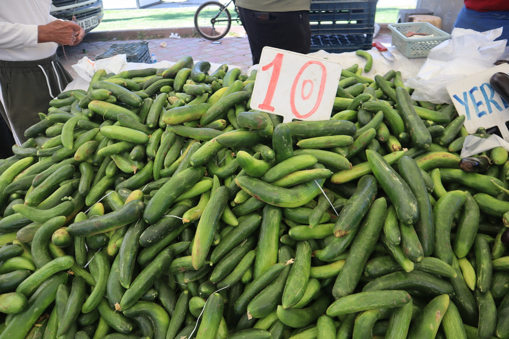 Pazarda şok fiyatlar! Domates salatalık 10 liraya kadar düştü…