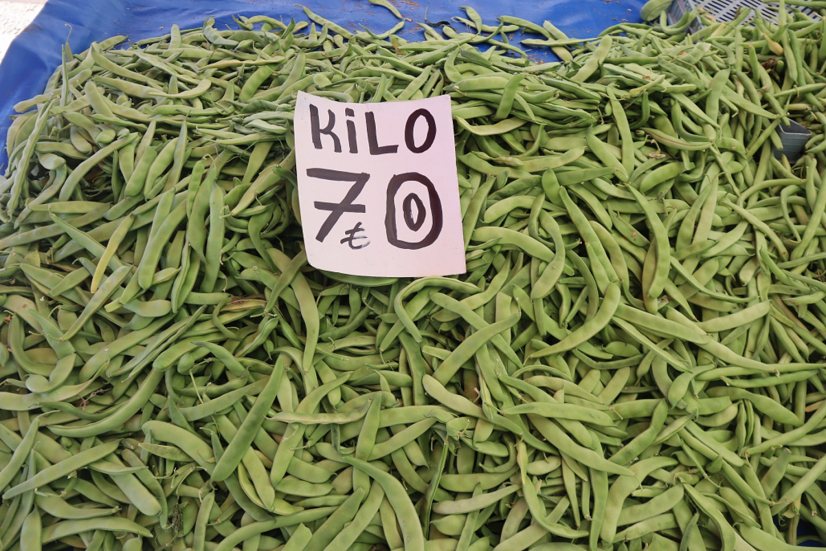 Pazarda şok fiyatlar! Domates salatalık 10 liraya kadar düştü…