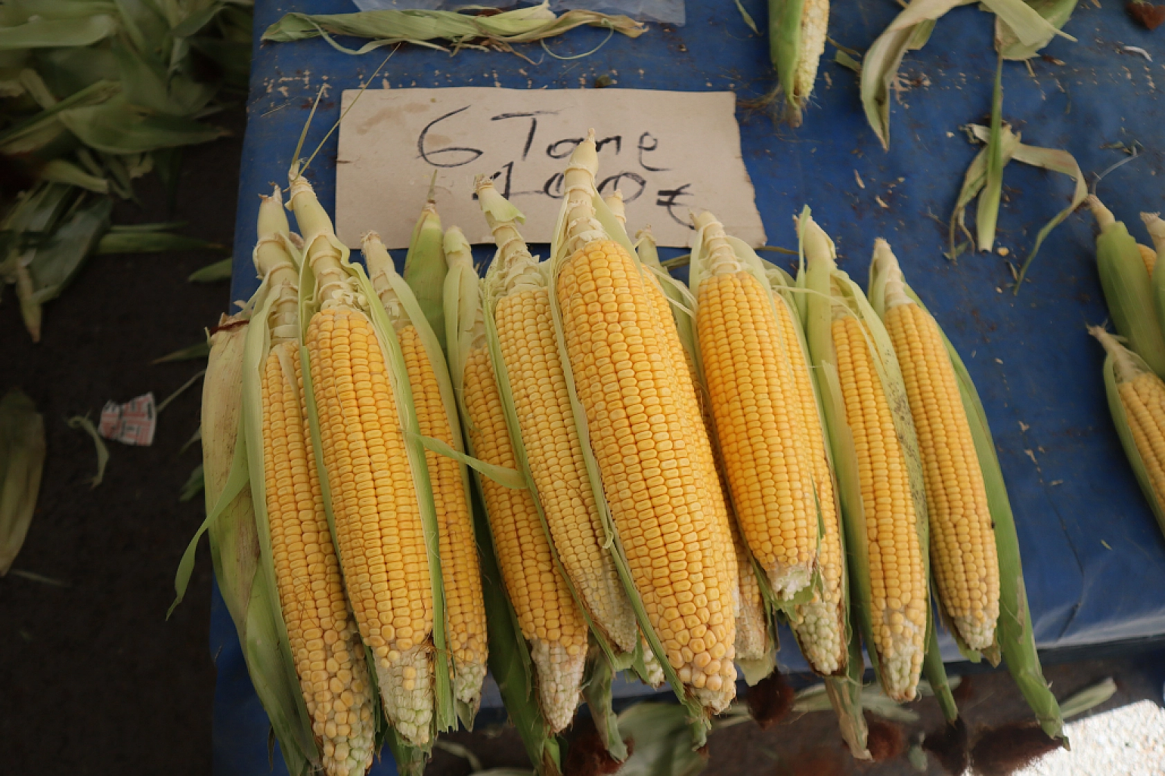 Pazarda şok fiyatlar! Domates salatalık 10 liraya kadar düştü…