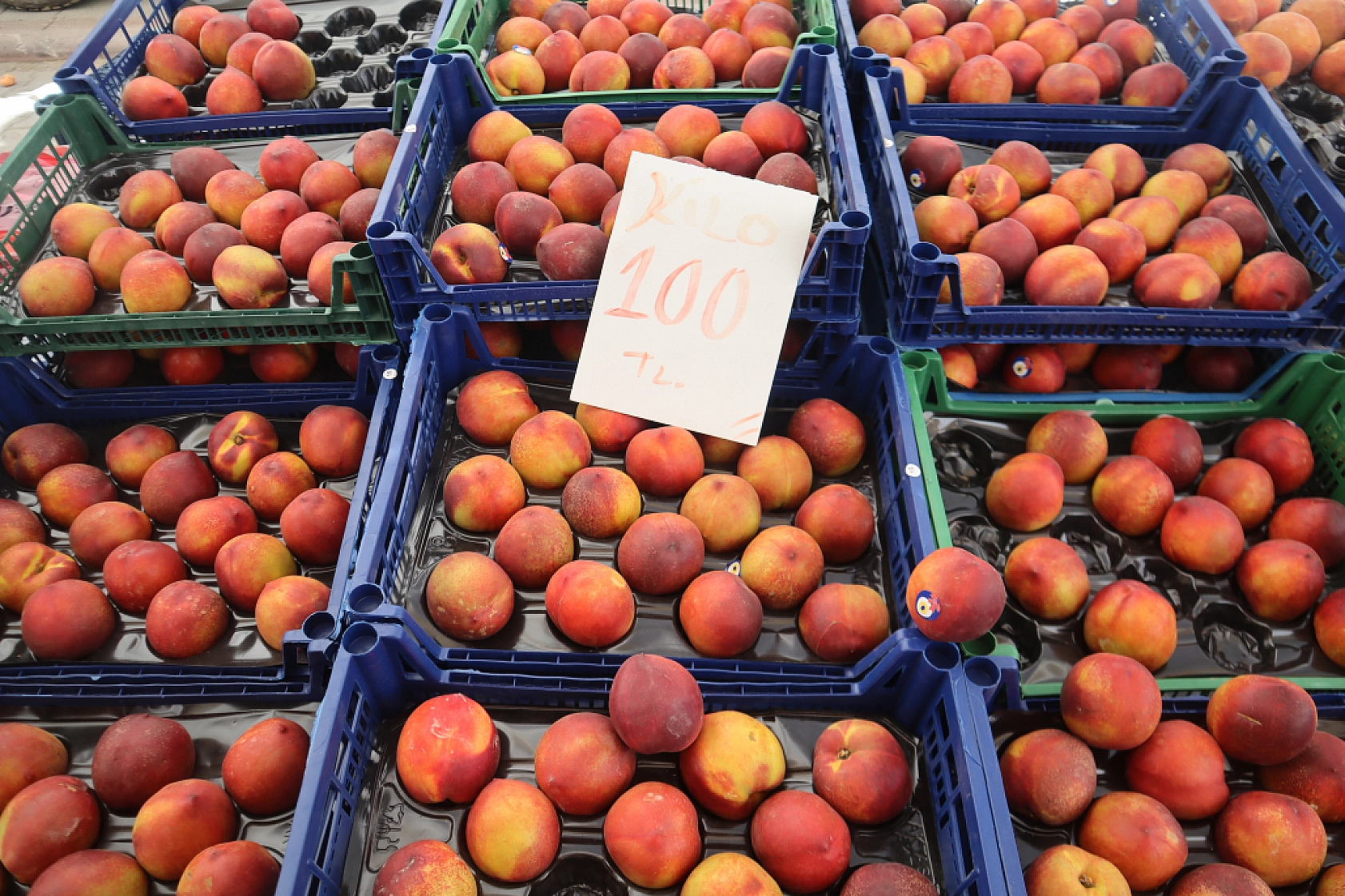 Pazarda şok fiyatlar! Domates salatalık 10 liraya kadar düştü…