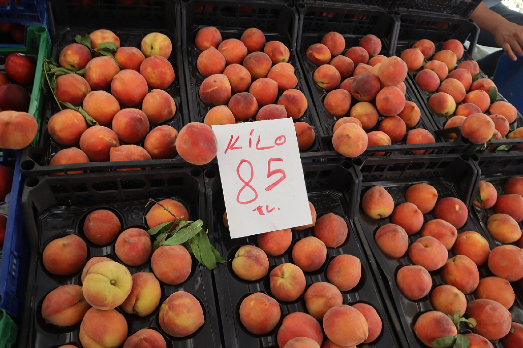 Pazarda şok fiyatlar! Domates salatalık 10 liraya kadar düştü…