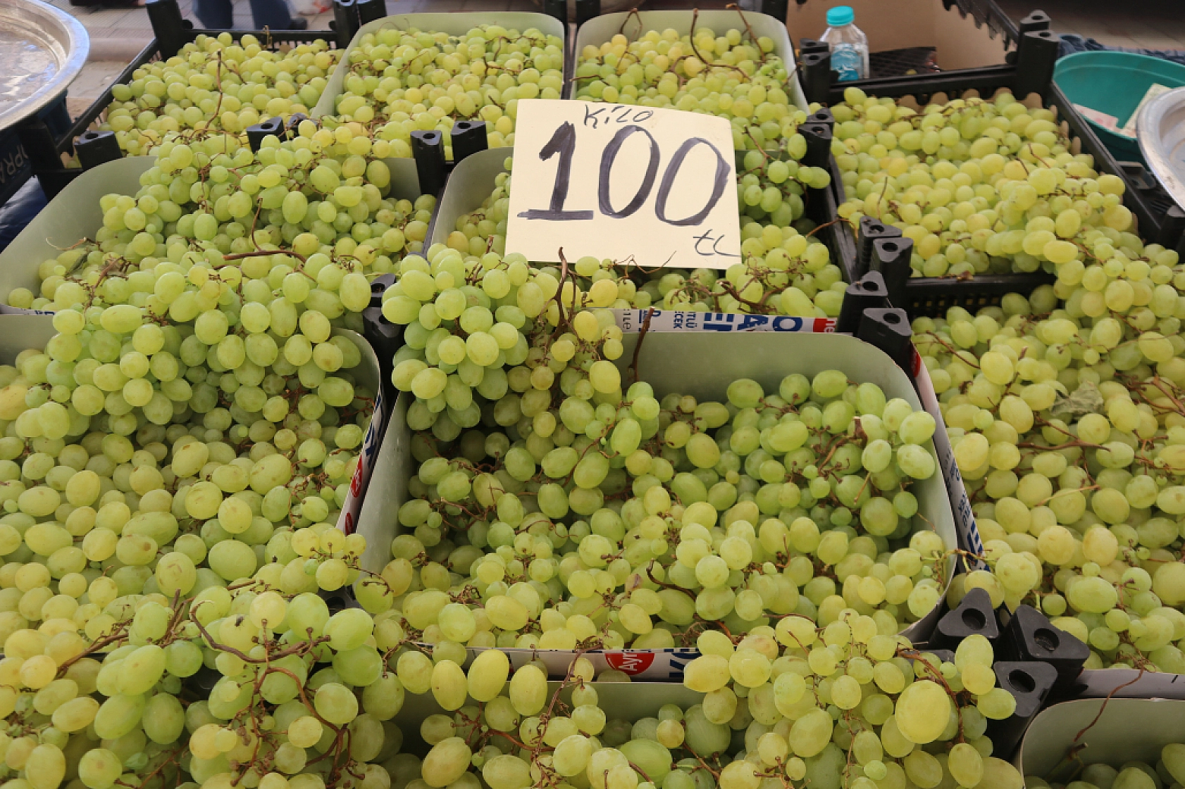 Pazarda şok fiyatlar! Domates salatalık 10 liraya kadar düştü…