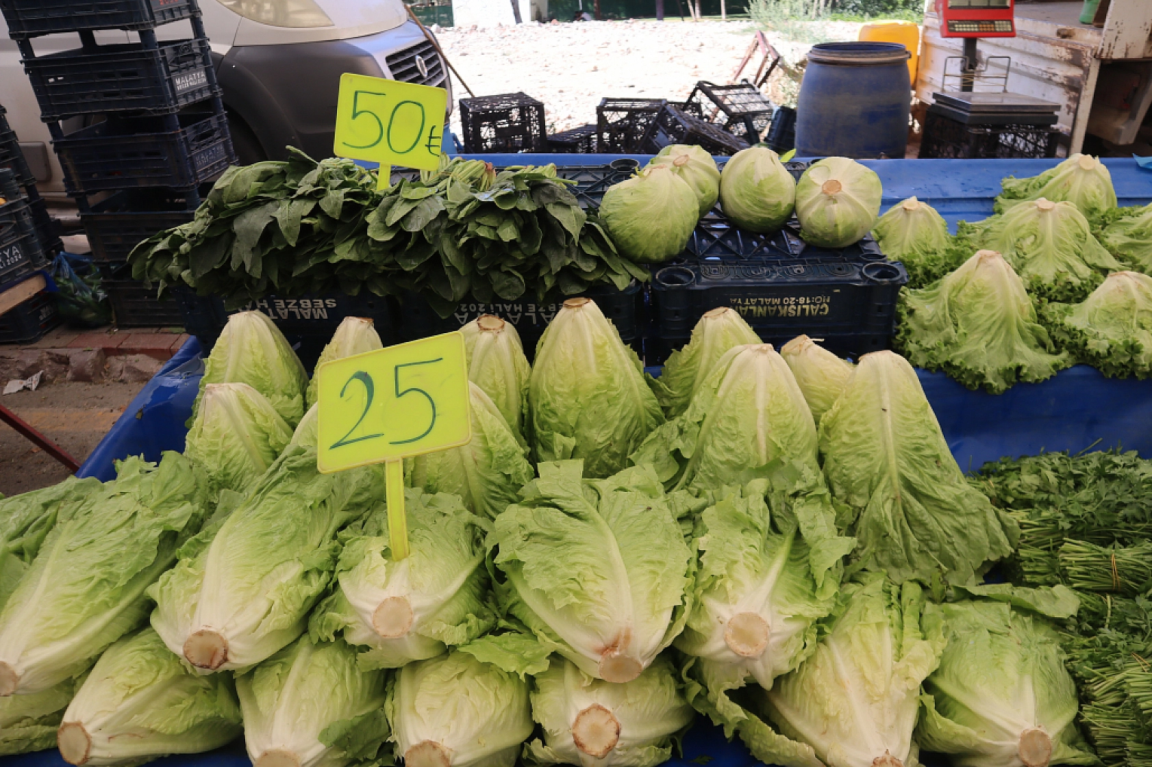 Pazarda şok fiyatlar! Domates salatalık 10 liraya kadar düştü…