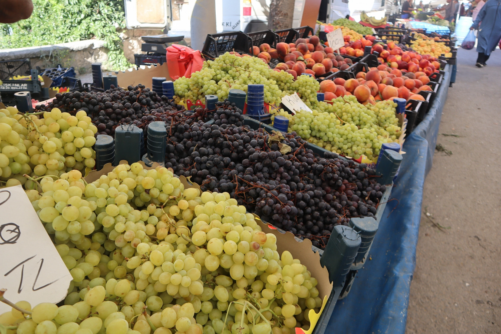 Pazarda şok fiyatlar! Domates salatalık 10 liraya kadar düştü…