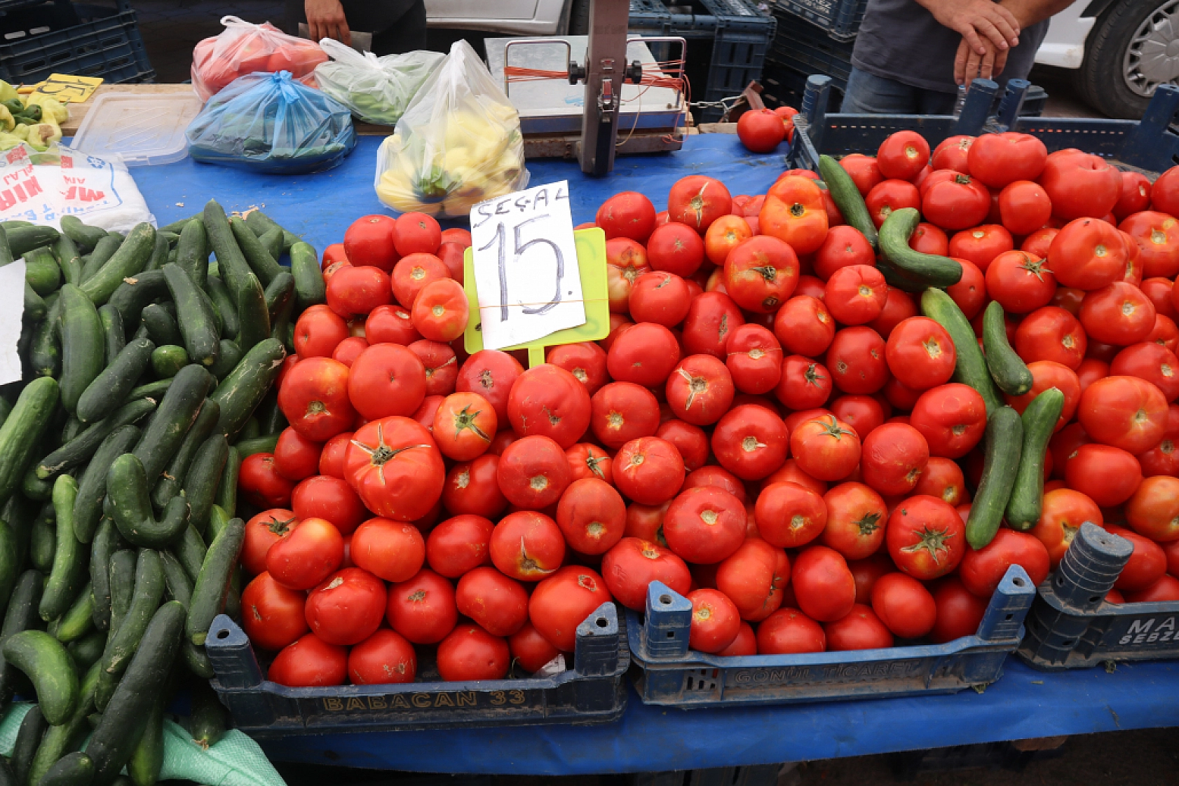 Pazarda şok fiyatlar! Domates salatalık 10 liraya kadar düştü…