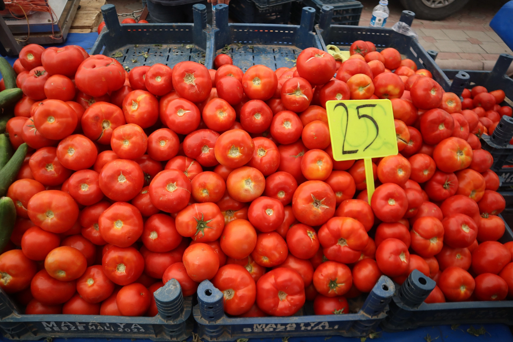 Pazarda şok fiyatlar! Domates salatalık 10 liraya kadar düştü…