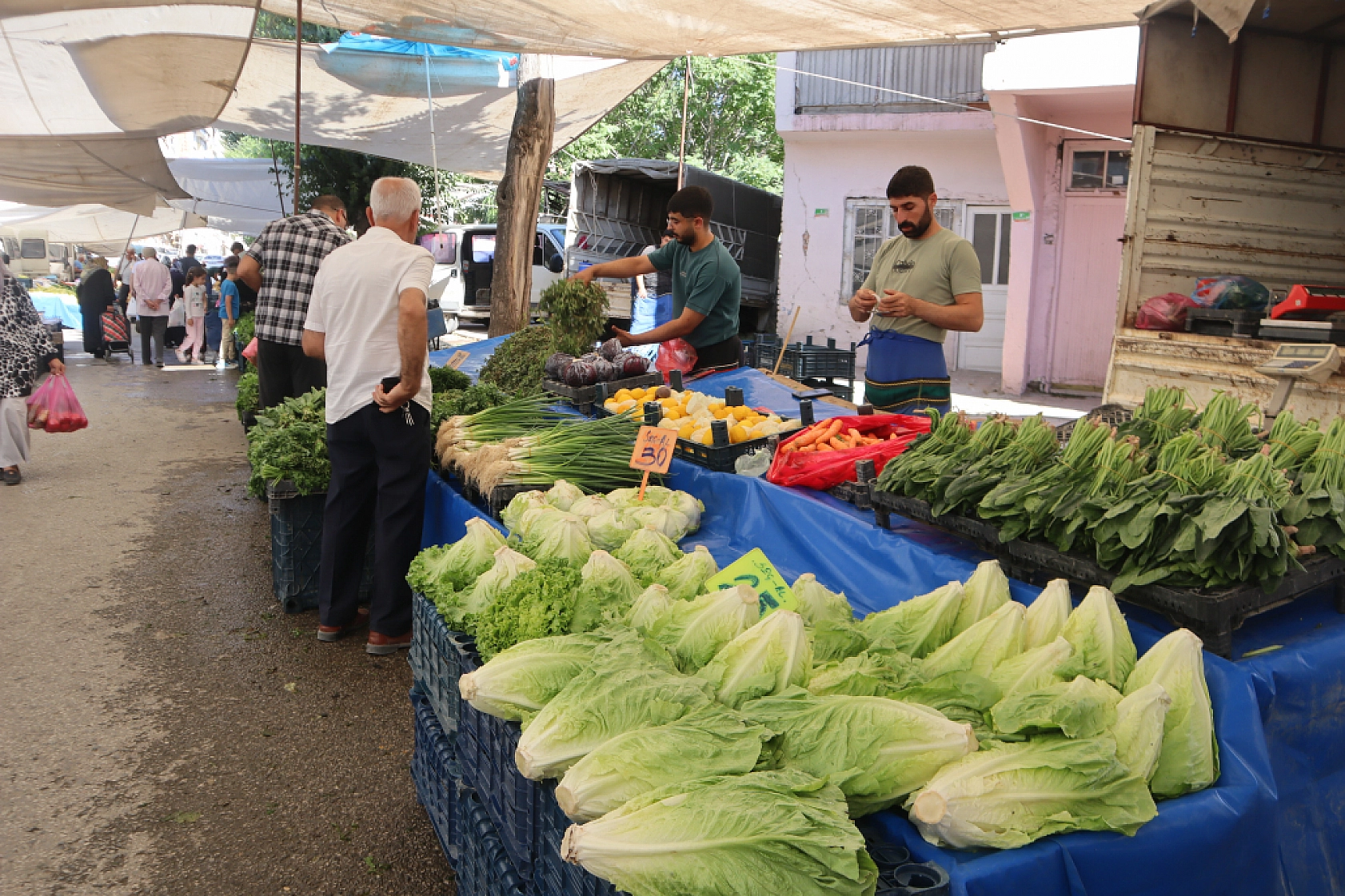 Pazarda şok fiyatlar! Domates salatalık 10 liraya kadar düştü…