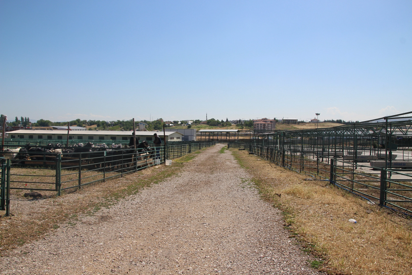 Beklenen hareketlilik yaşanmadı: Malatya'da hayvan pazarı boş kaldı