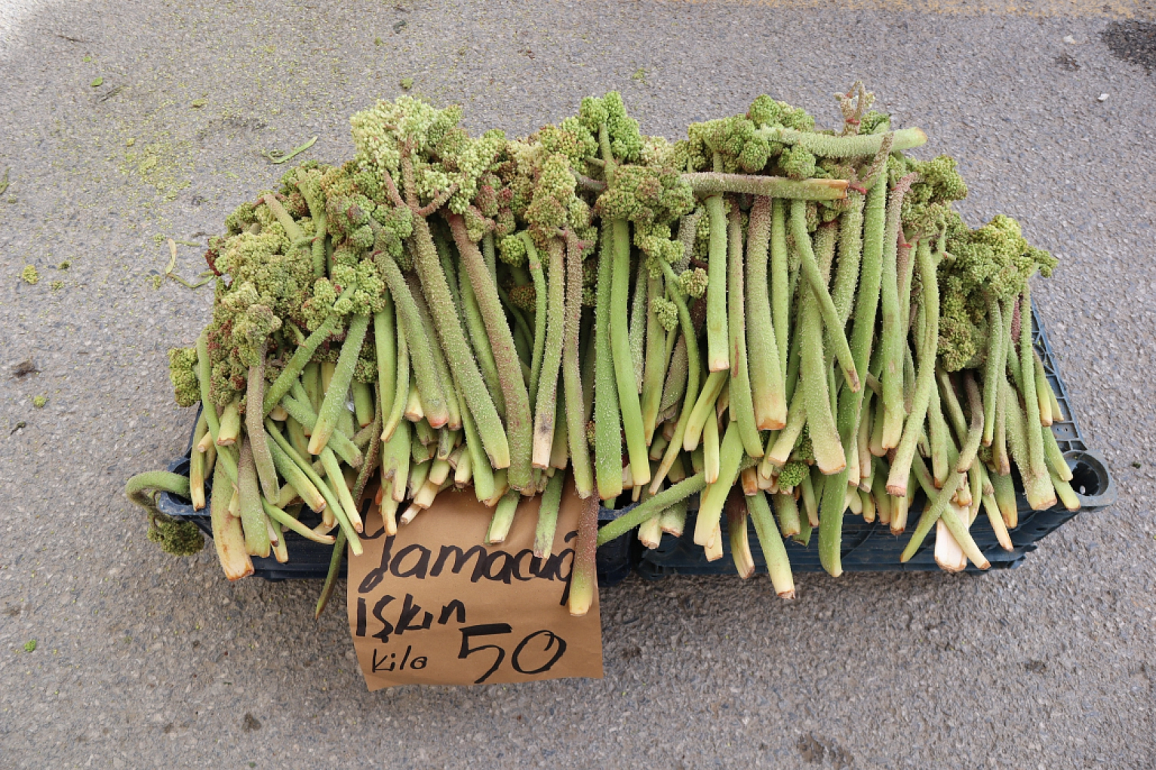 Malatya'da pazar tezgahlarında fiyat tersine döndü: Sebze ucuzladı, meyve cep yakıyor!