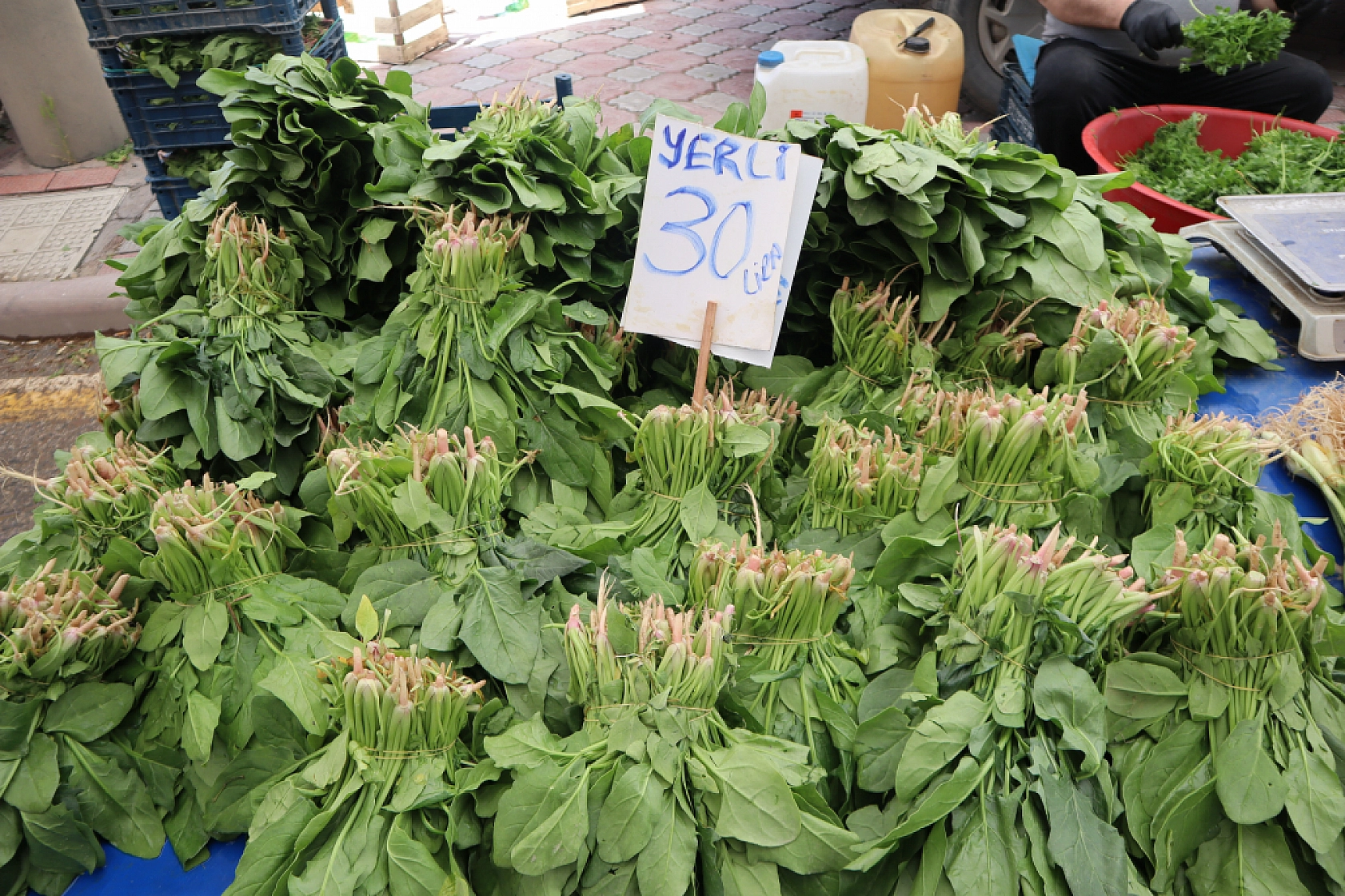Malatya'da pazar tezgahlarında fiyat tersine döndü: Sebze ucuzladı, meyve cep yakıyor!