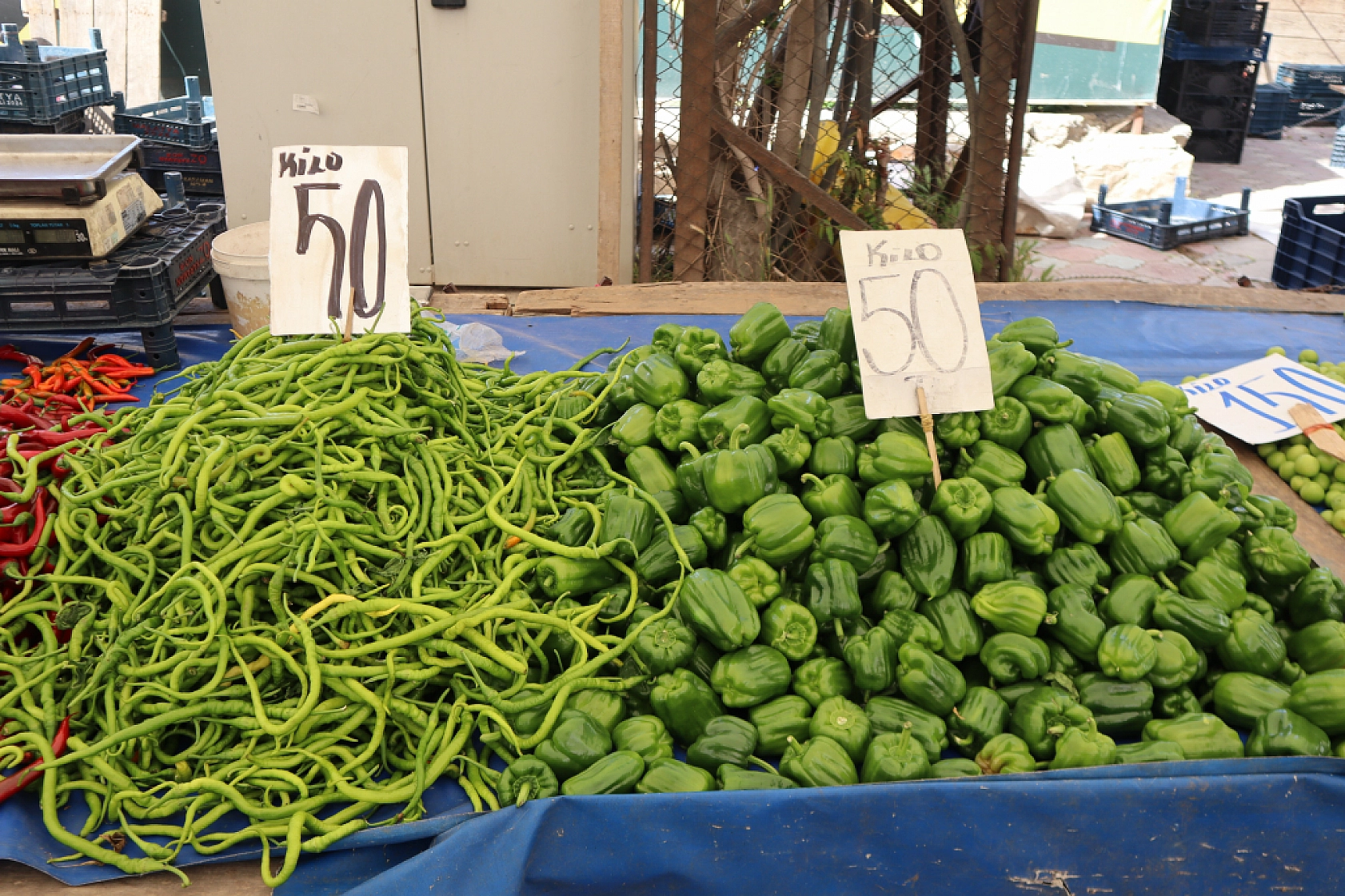Malatya'da pazar tezgahlarında fiyat tersine döndü: Sebze ucuzladı, meyve cep yakıyor!