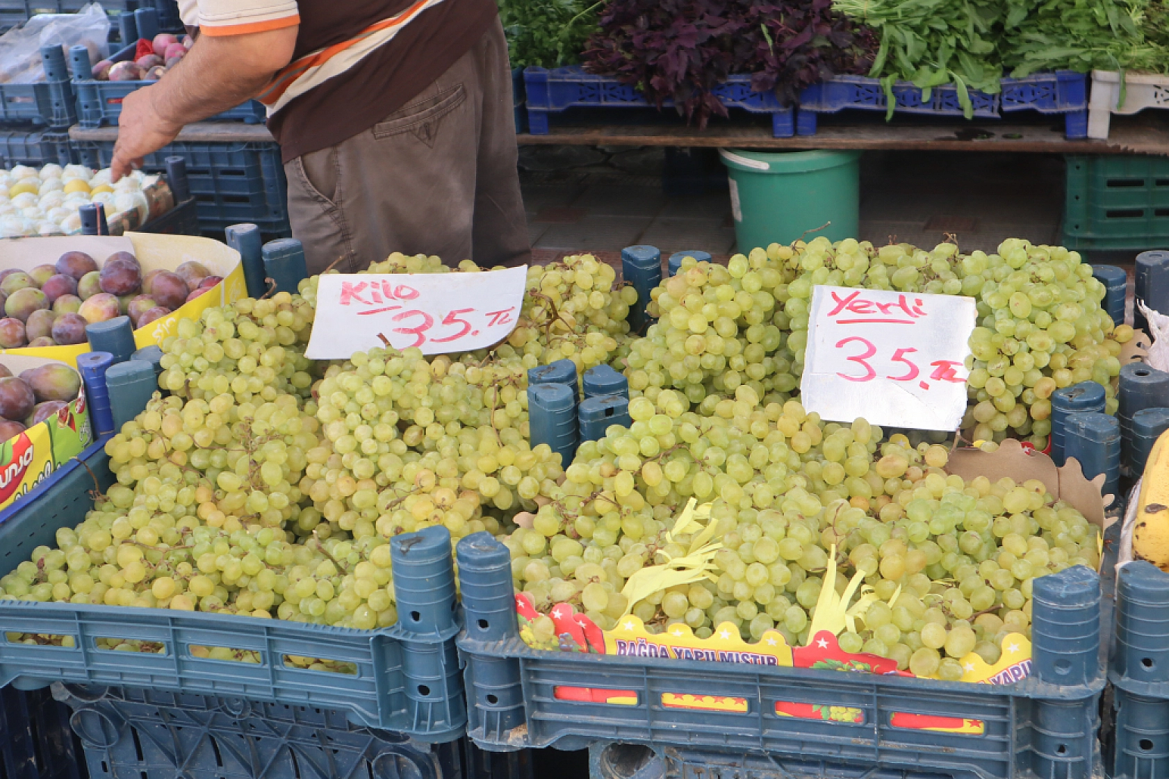Kışlık Sebzeler Pazar Tezgahlarında Yerini Aldı! İşte Güncel Perşembe Pazarı Fiyatları…