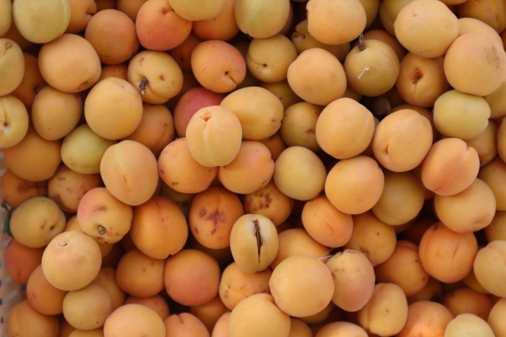 Malatya'da Bayram Öncesi Pazarlar Hareketlendi? İşte Cumartesi Pazarı Fiyatları...