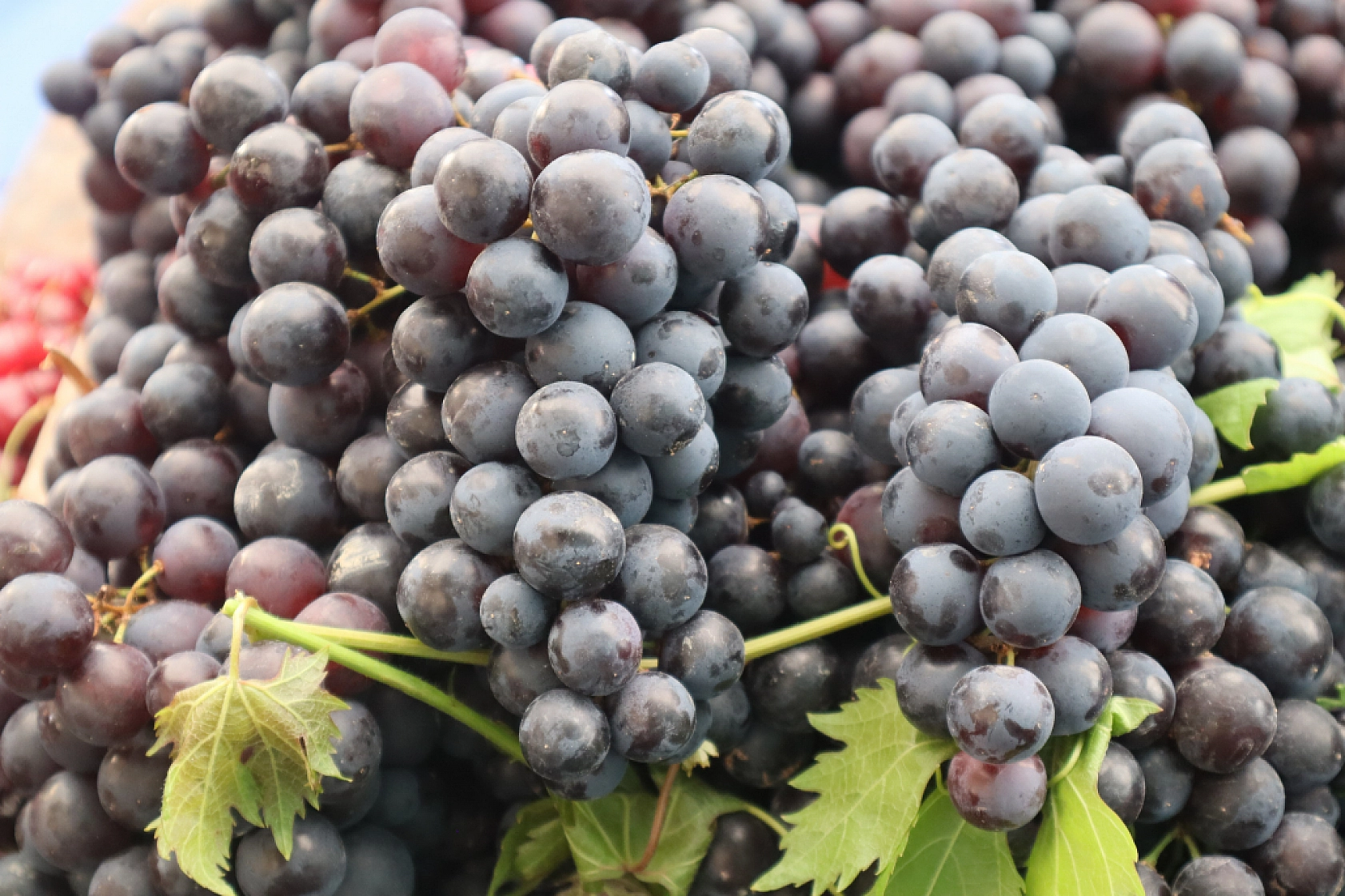 Malatya'da Bayram Öncesi Pazarlar Hareketlendi? İşte Cumartesi Pazarı Fiyatları...