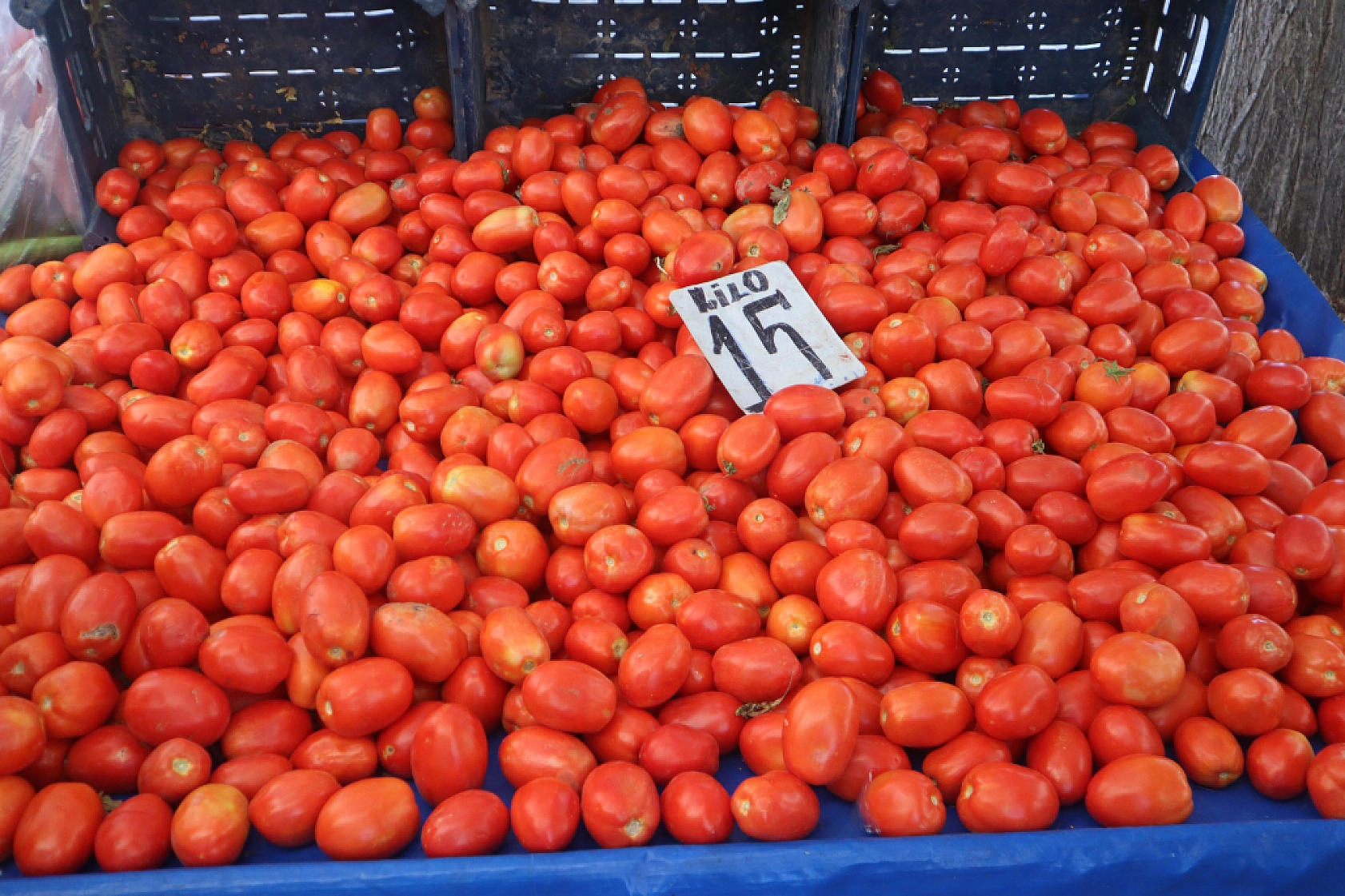 Kışlık Sebzeler Pazar Tezgahlarında Yerini Aldı! İşte Güncel Perşembe Pazarı Fiyatları…