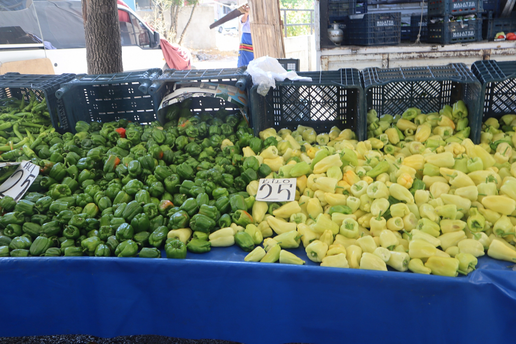 Kışlık Sebzeler Pazar Tezgahlarında Yerini Aldı! İşte Güncel Perşembe Pazarı Fiyatları…